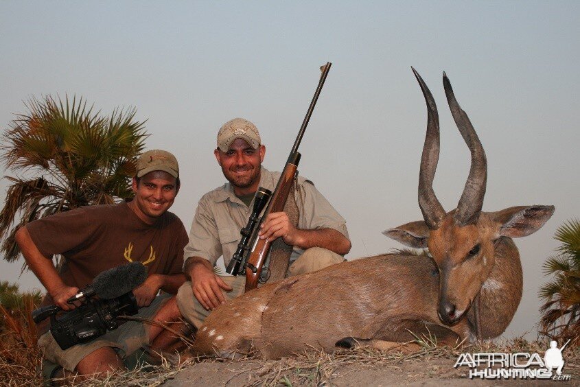 Chobe Bushbuck