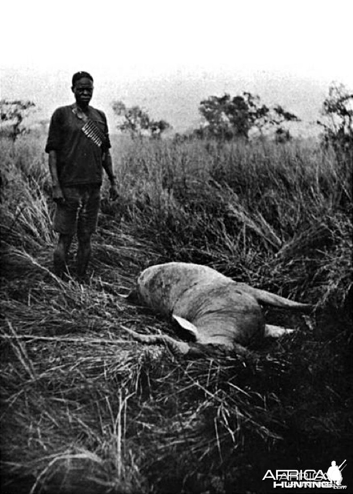 Chumamaboko standing by a Jackson's Hartebeest