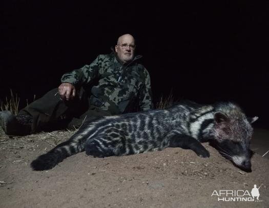 Civet Cat Hunt South Africa