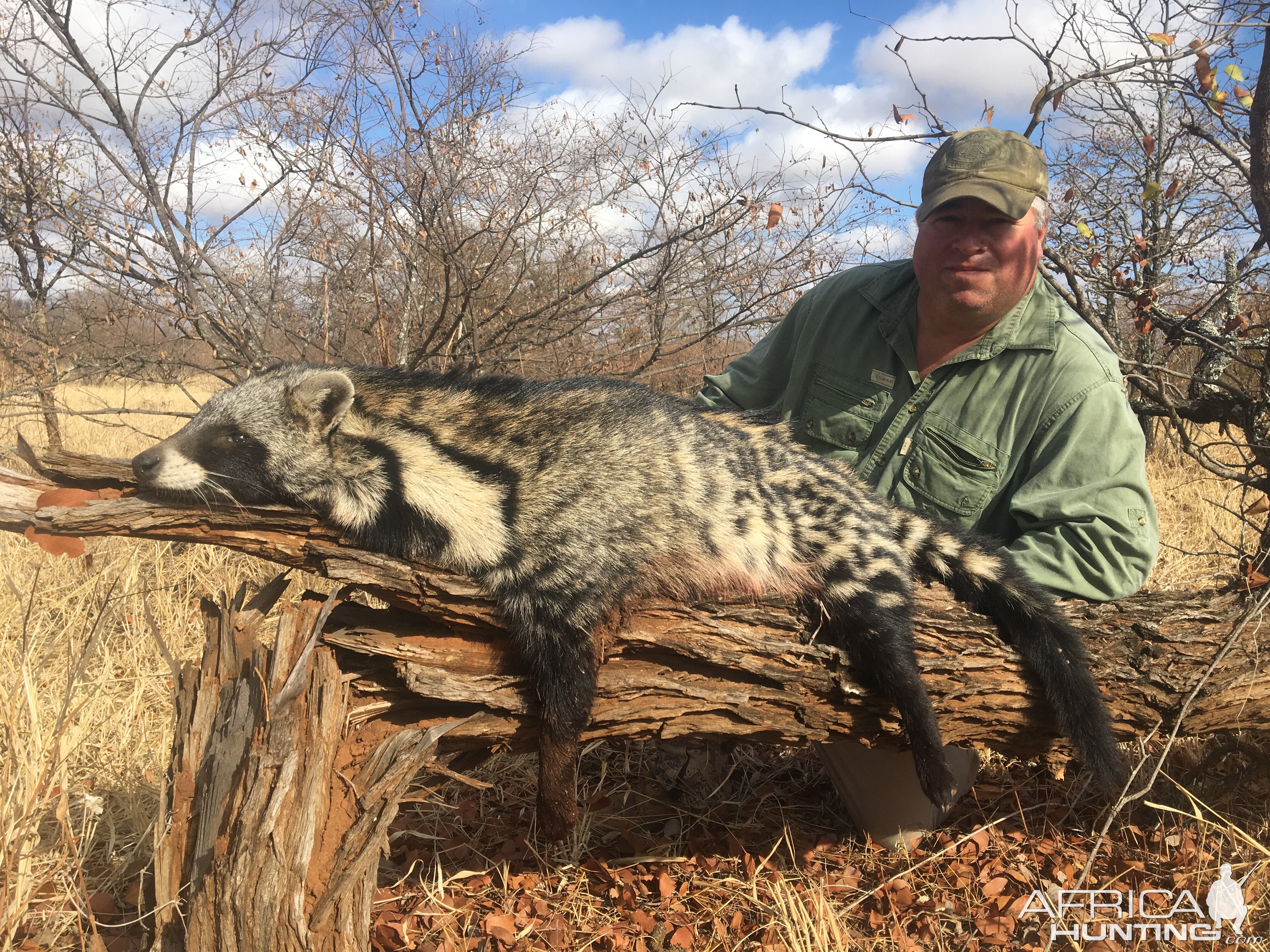 Civet Cat Hunting Zimbabwe