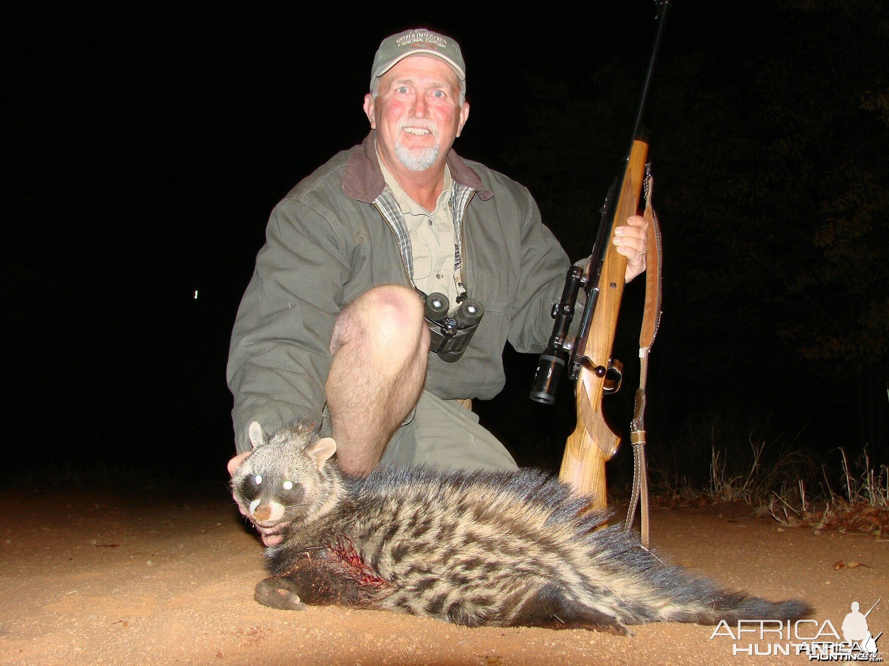 Civet cat Imbezie Camp, Lowveld of Zimbabwe