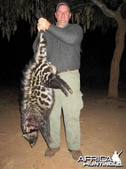 Civet Hunt in Save Valley Conservancy Zimbabwe