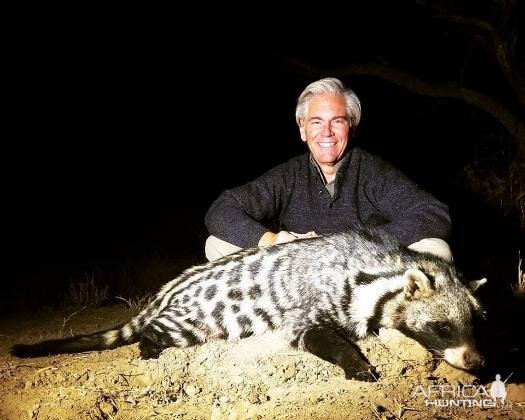 Civet Hunting Sunset Safaris