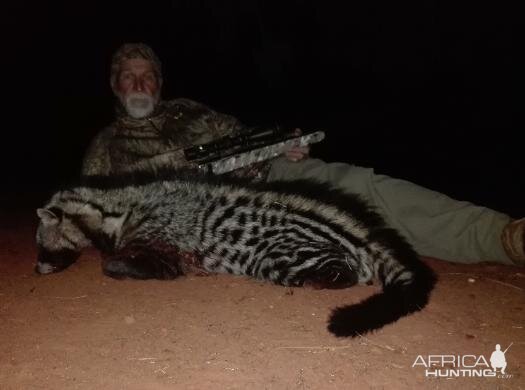 Civet Hunting Sunset Safaris