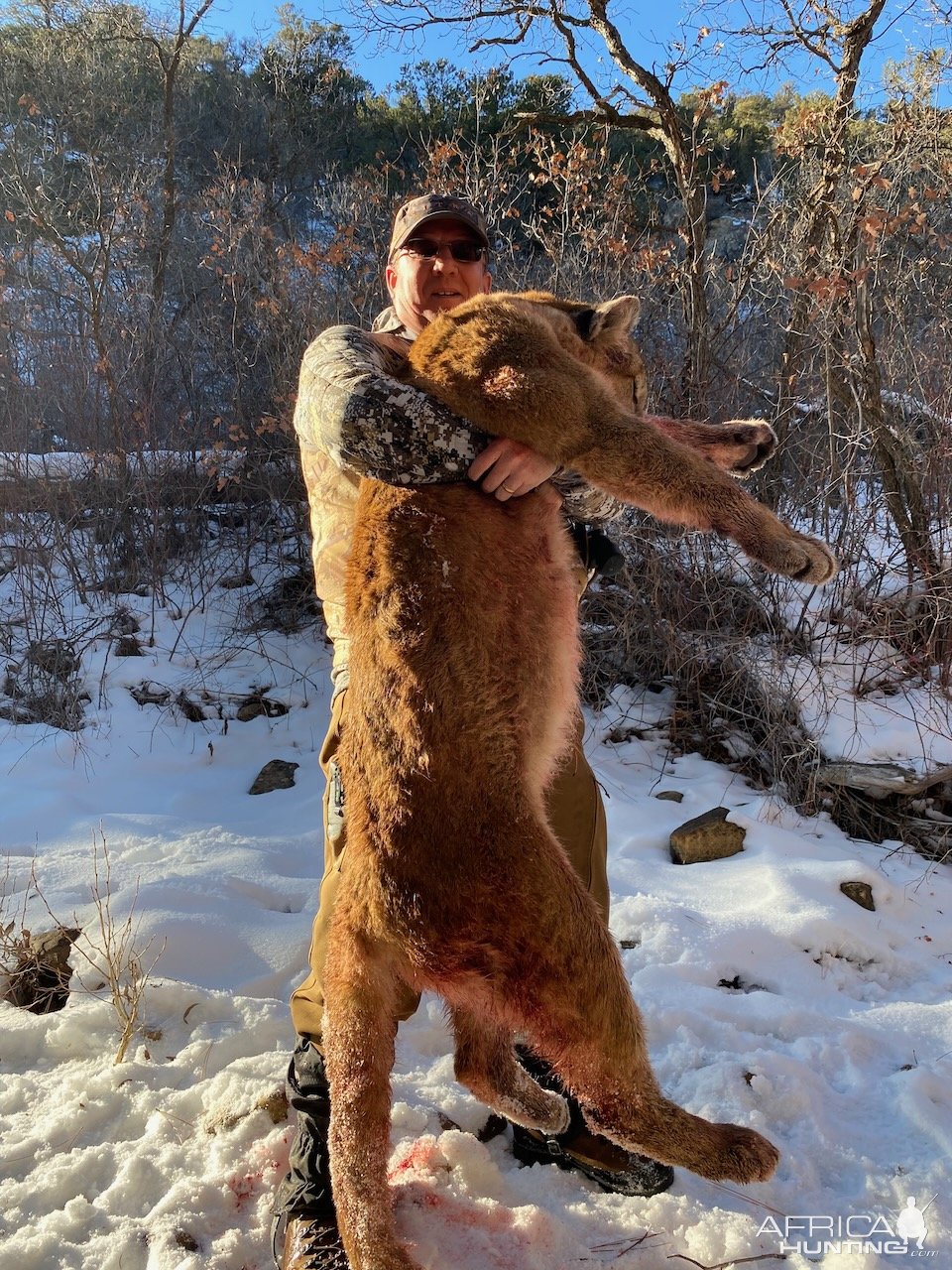 CO Mountain Lion with revolver