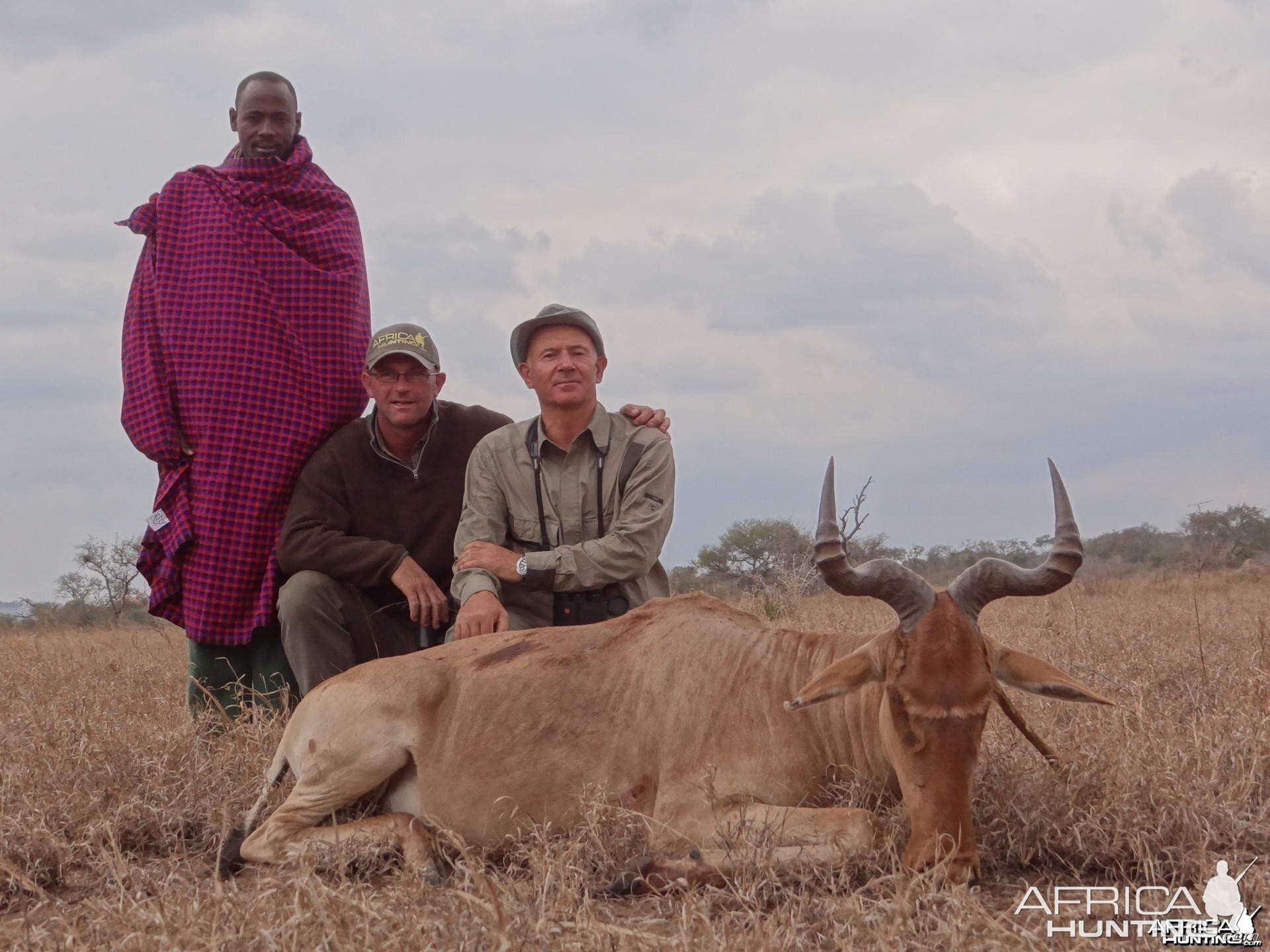 Coke Hartebeest Tanzania