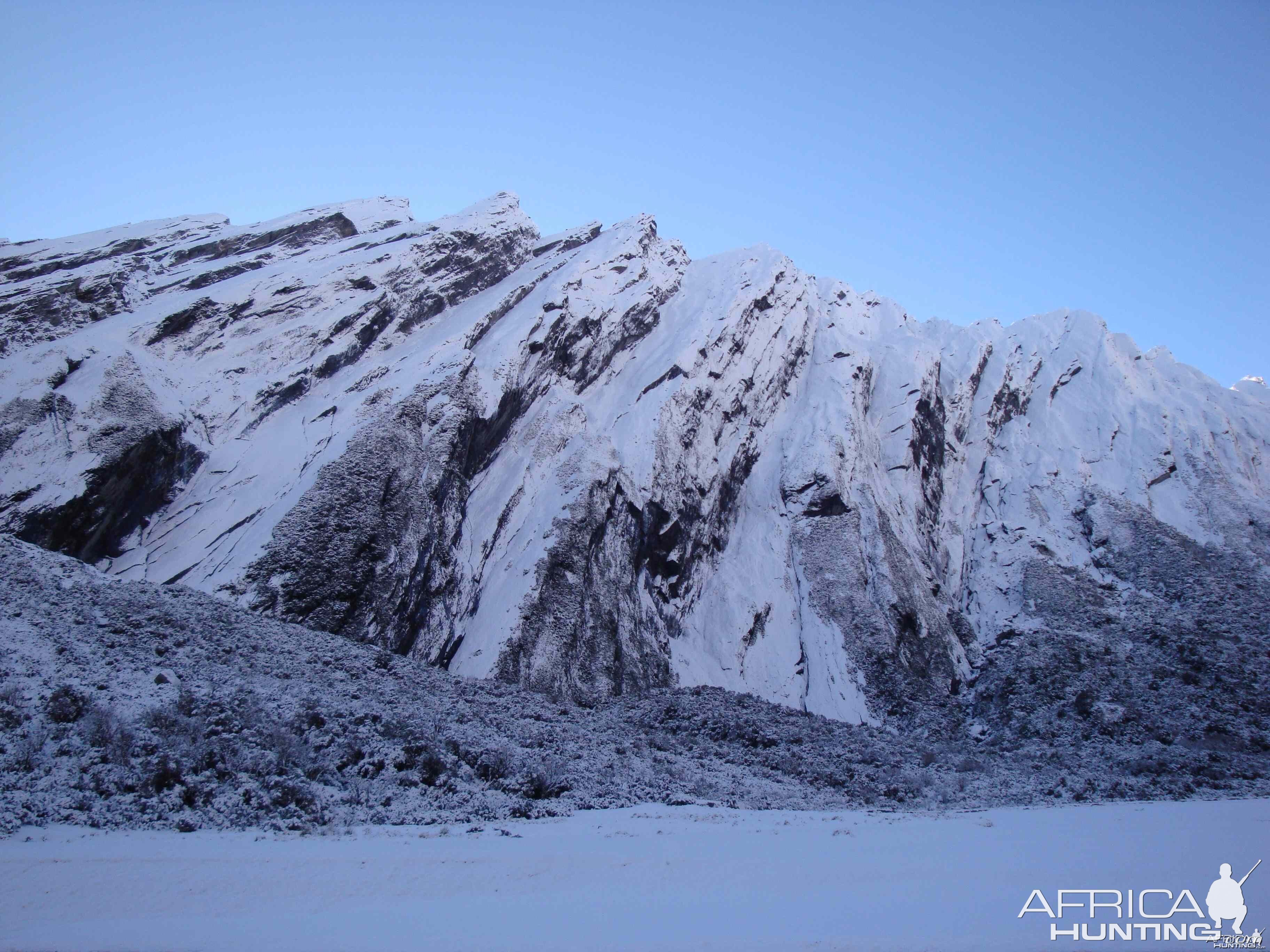 Cold start to the day in Tahr country