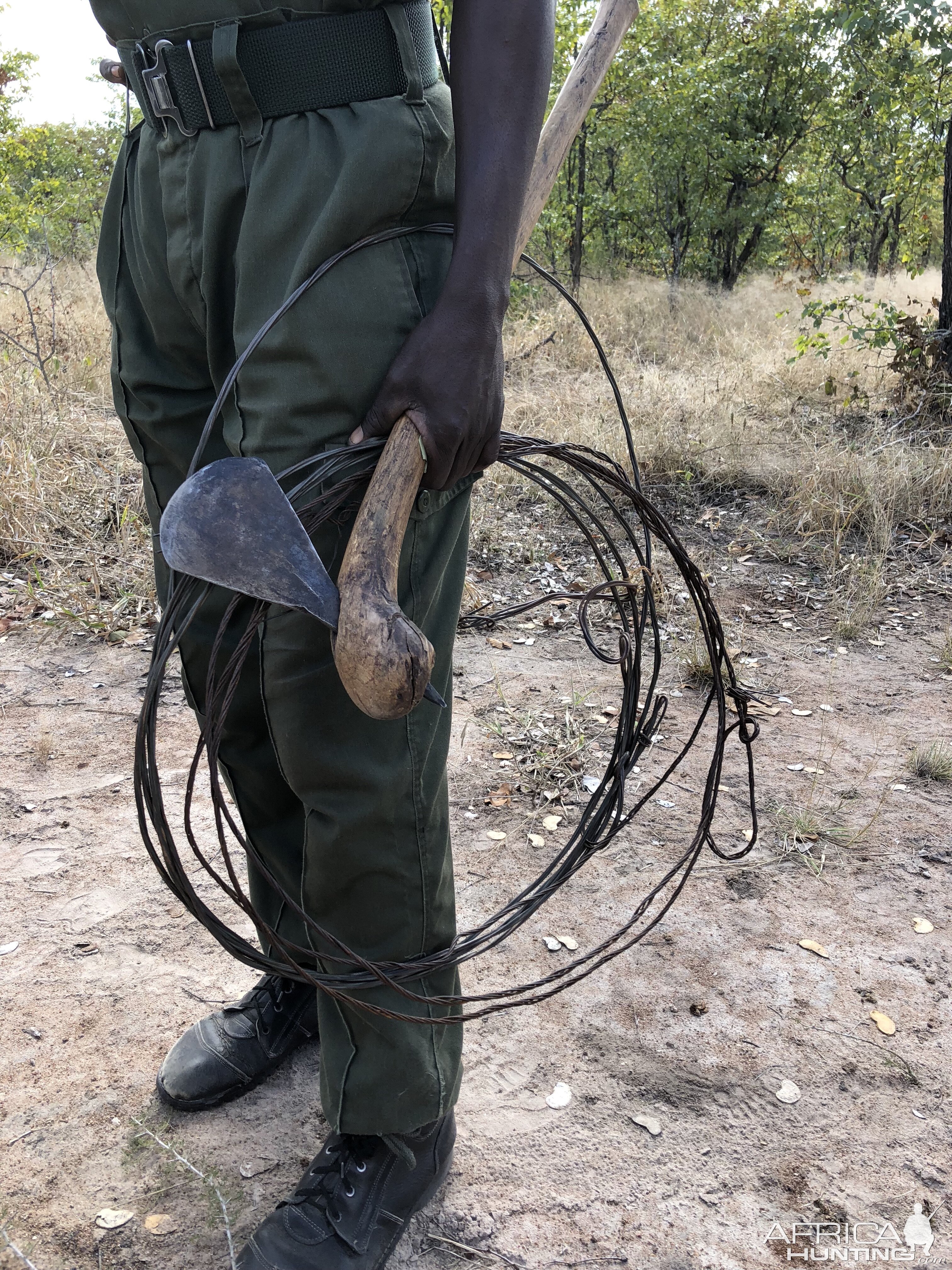 Collected snares from poachers