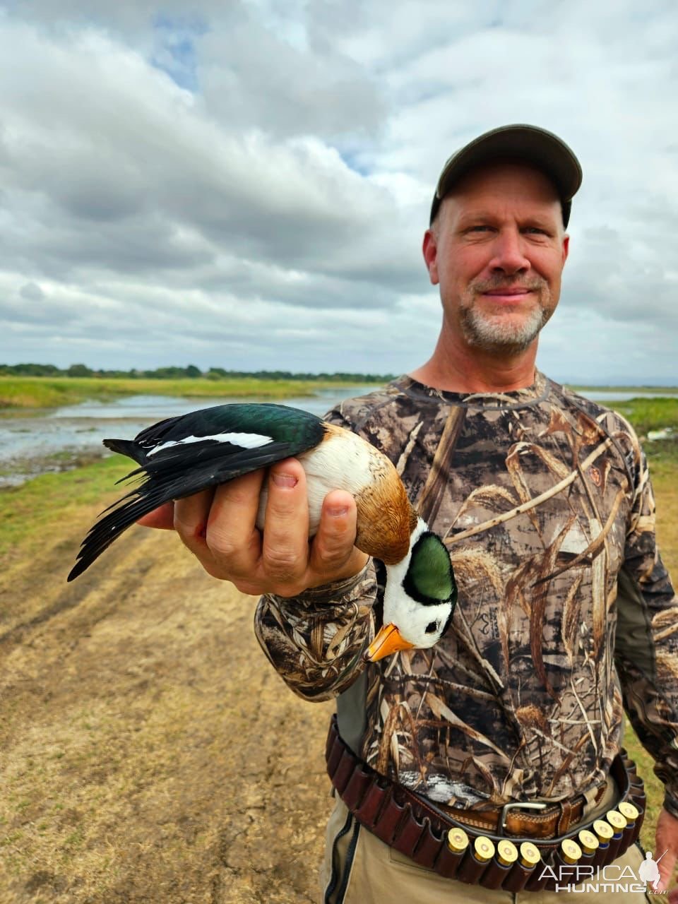 Collection bird hunting South Africa