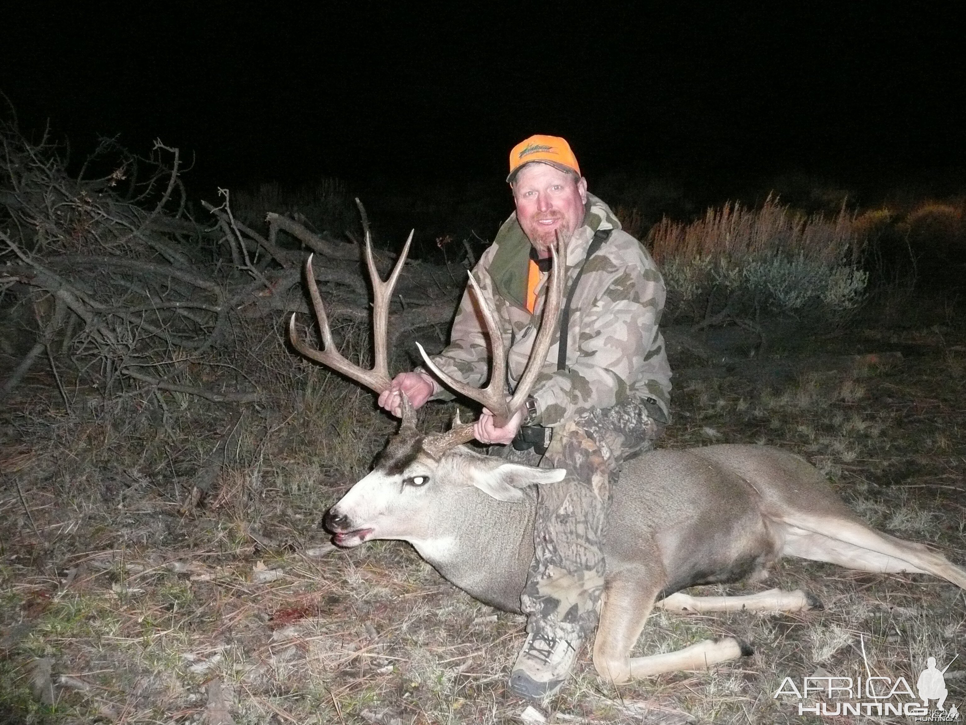 Colorado Buck