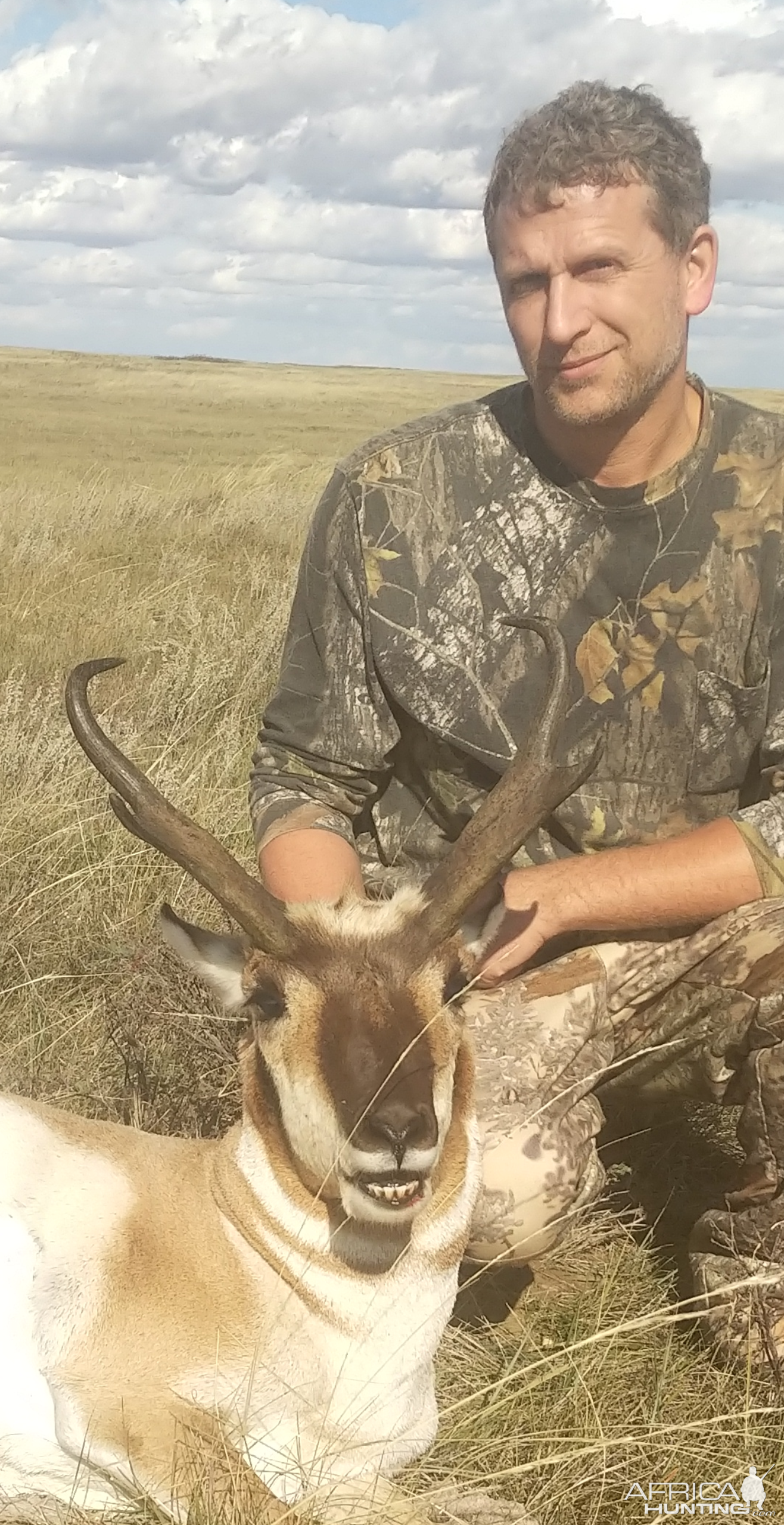 Colorado Hunting Pronghorn