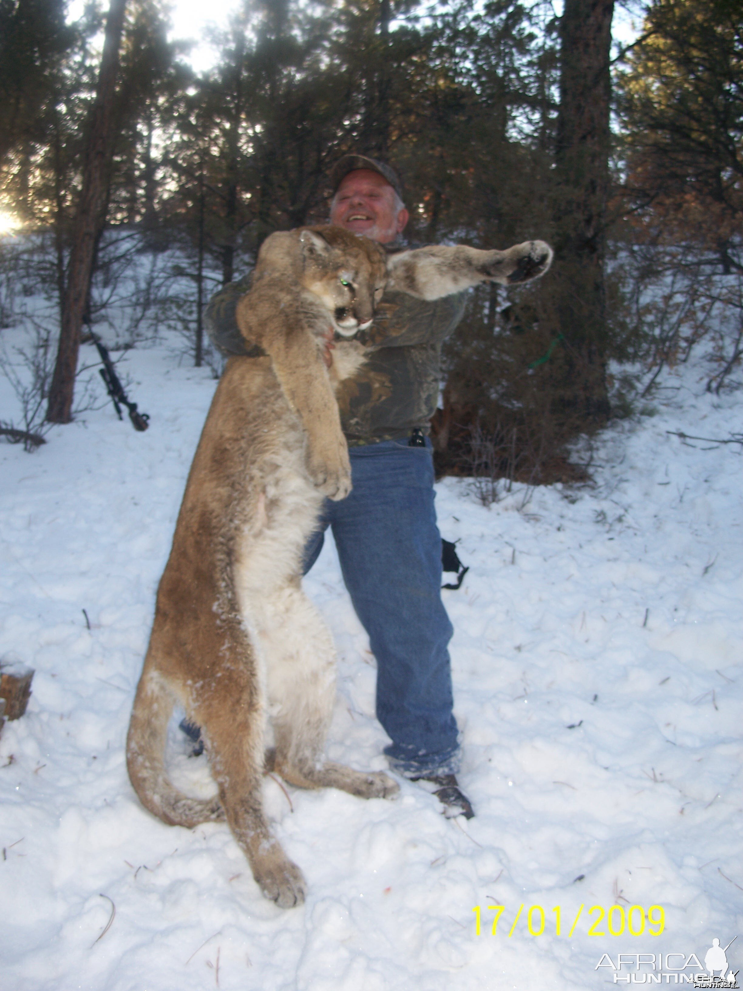 colorado mountain lion hunt by manny fajin