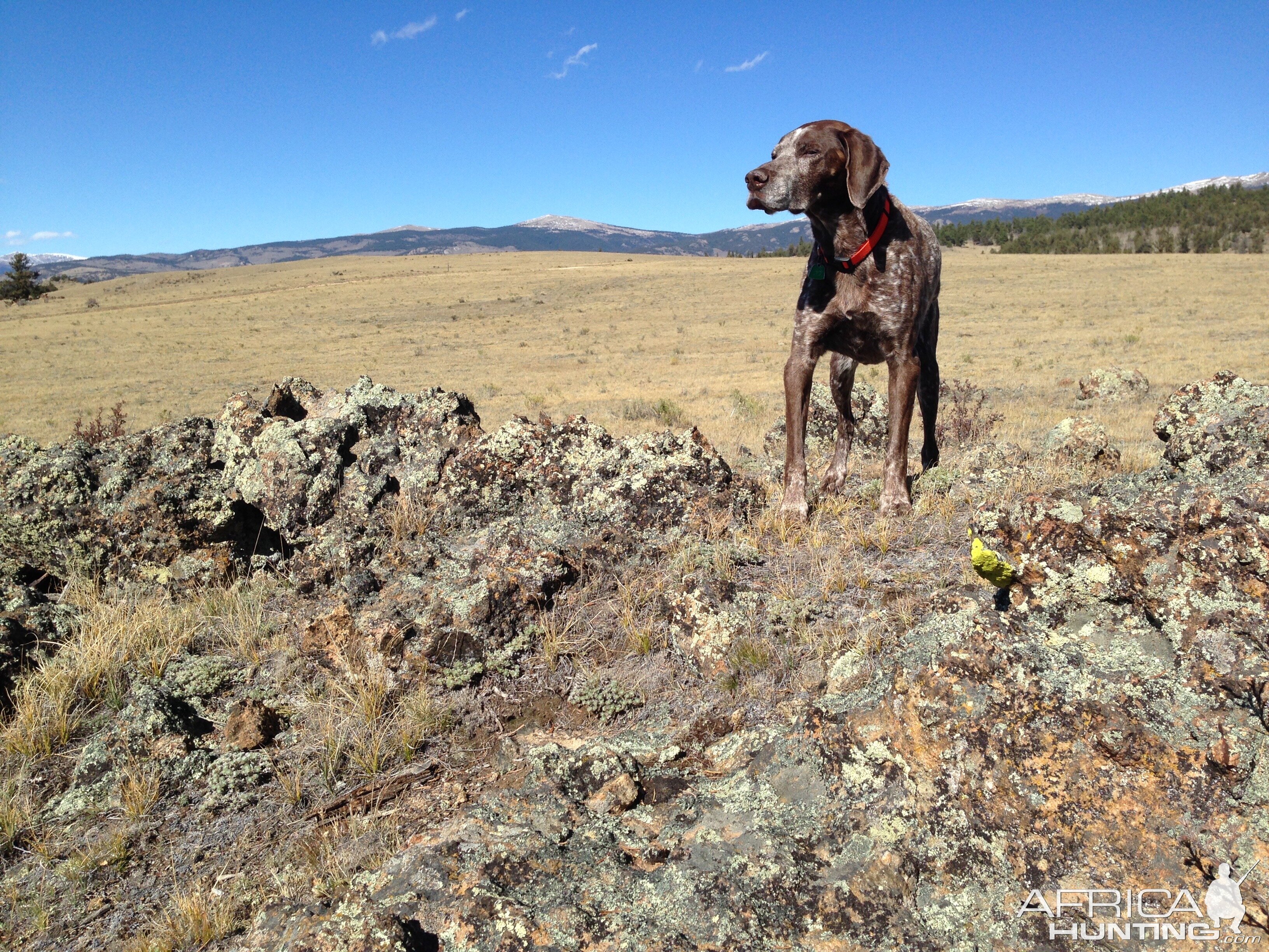 Colorado Scenery