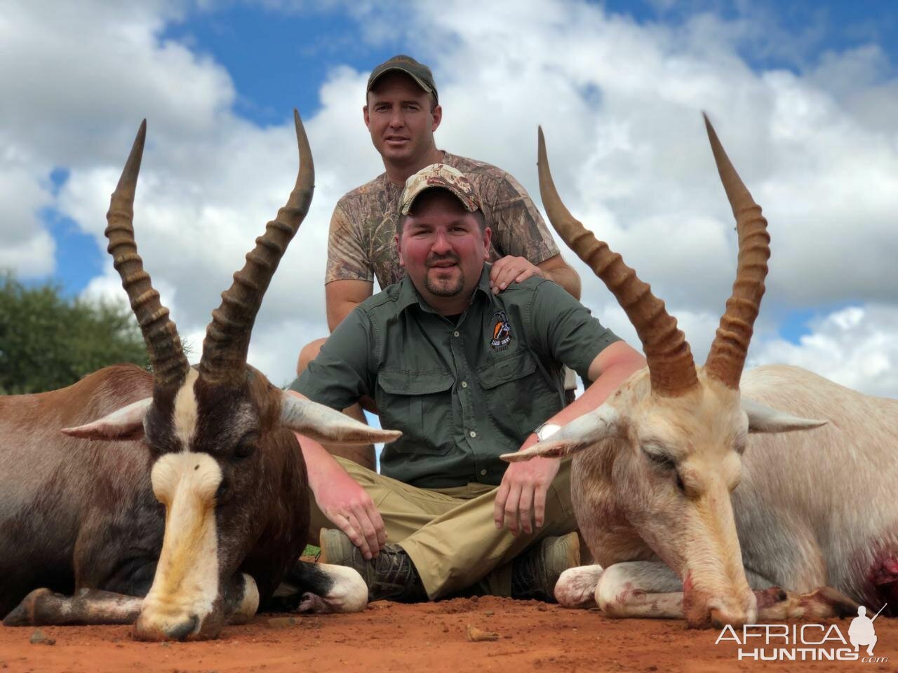 Common and White Blesbok Hunt South Africa