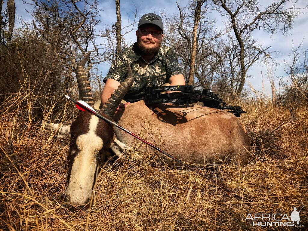 Common Blesbuck “Damaliscus Pygargus Phillipsi” Bowhunting South Africa