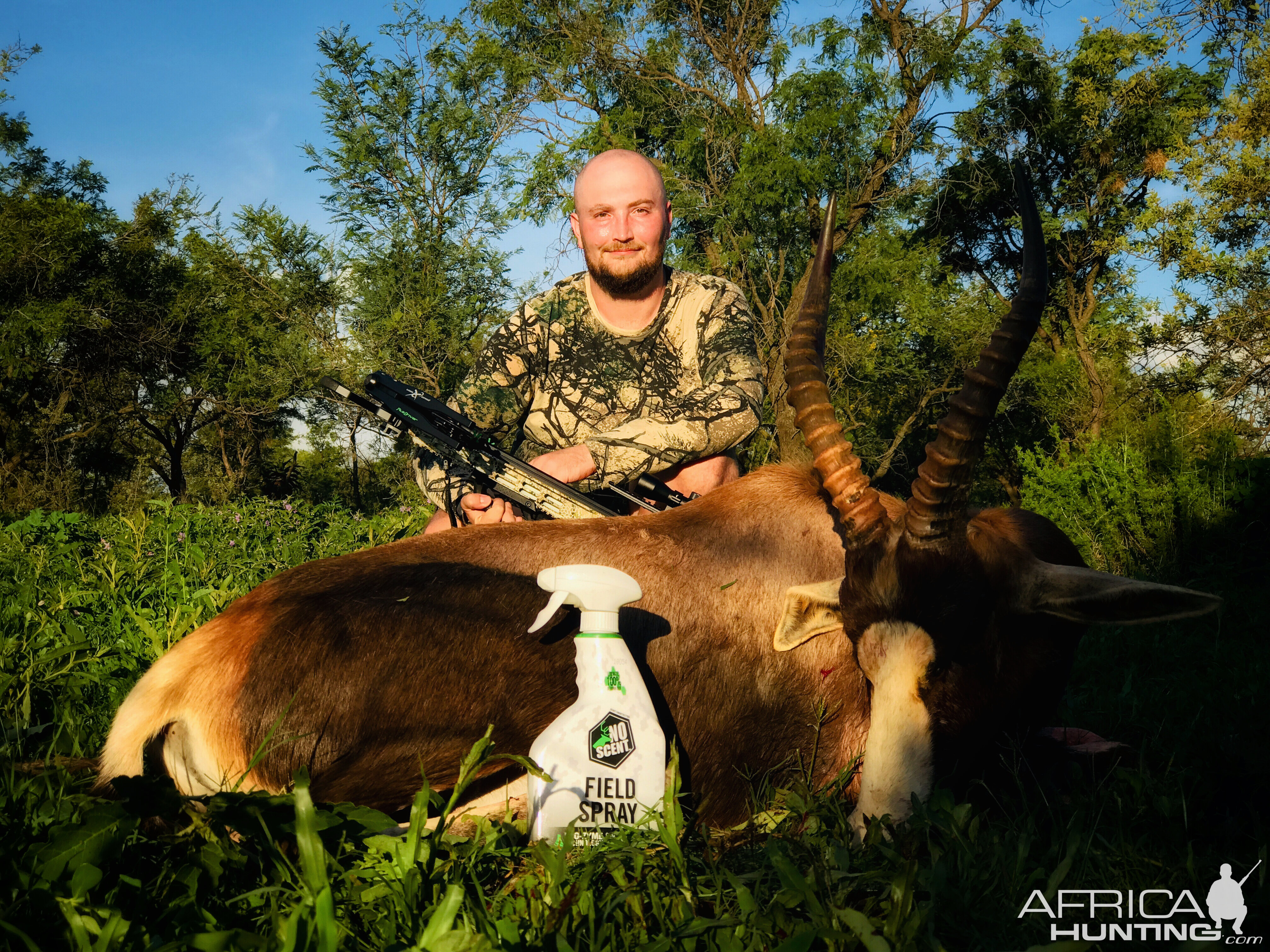 Common Blesbuck “Damaliscus Pygargus Phillipsi” Crossbow Hunting South Africa