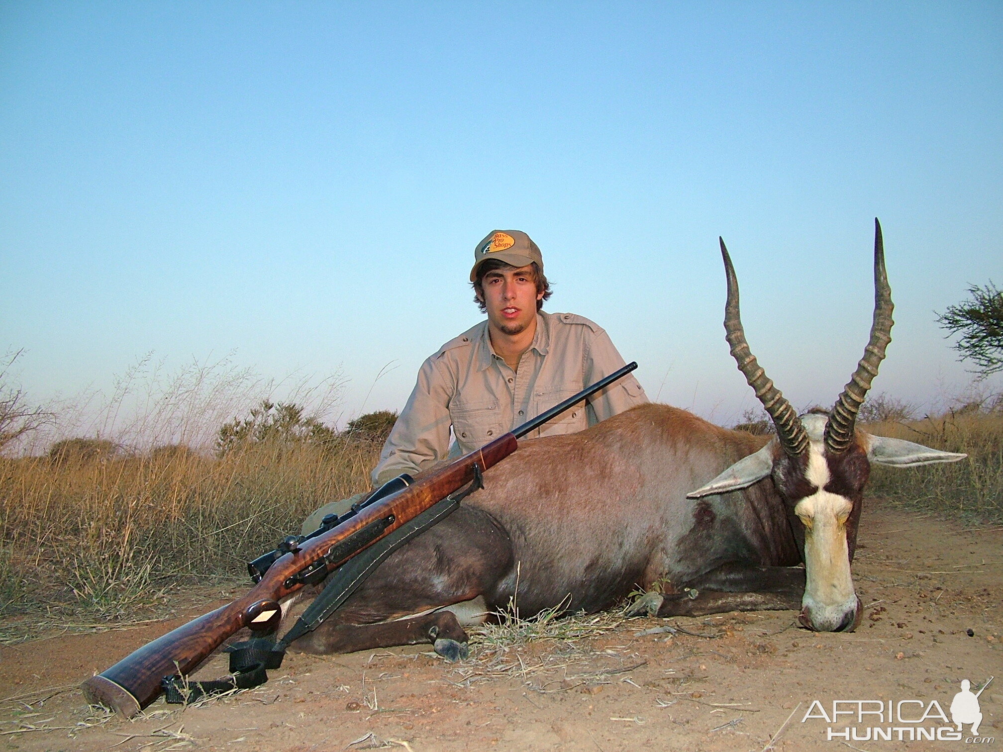 Common Blesbuck ~ Limpopo Valley, RSA