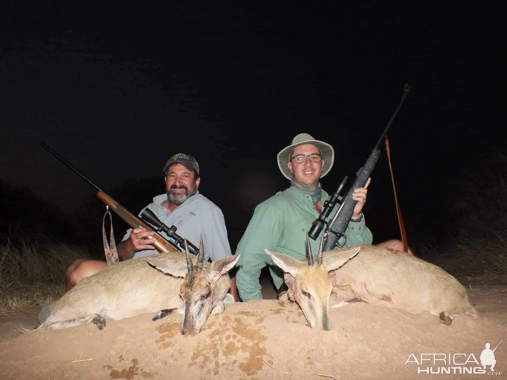 Common Duiker Hunt South Africa