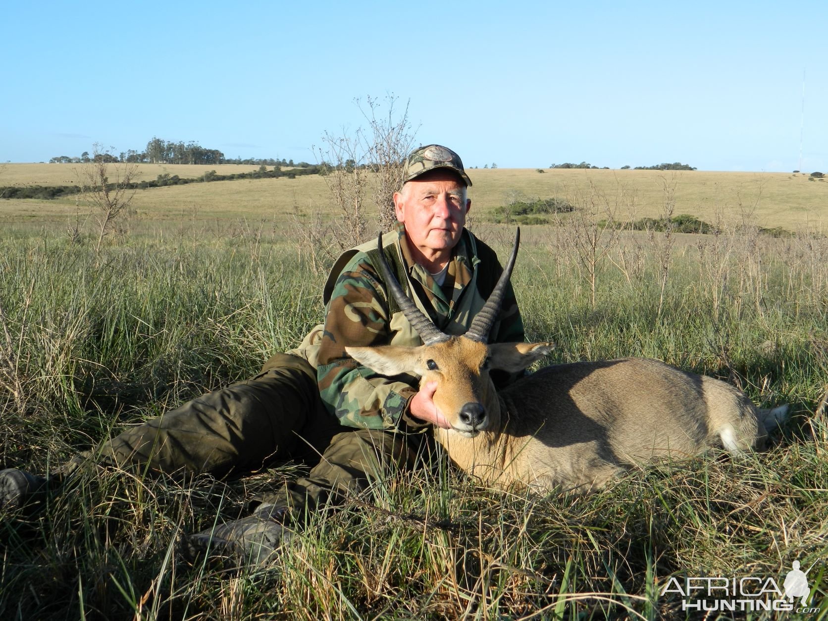 Common Reedbuck Eastern Cape