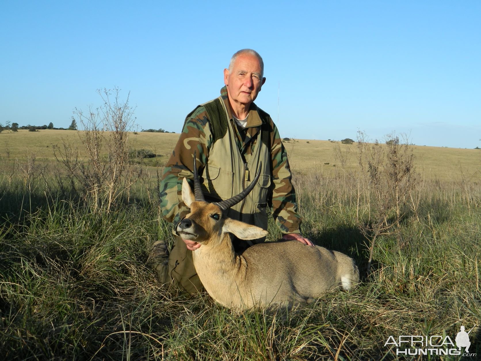 Common Reedbuck Hard Animal To Harvest