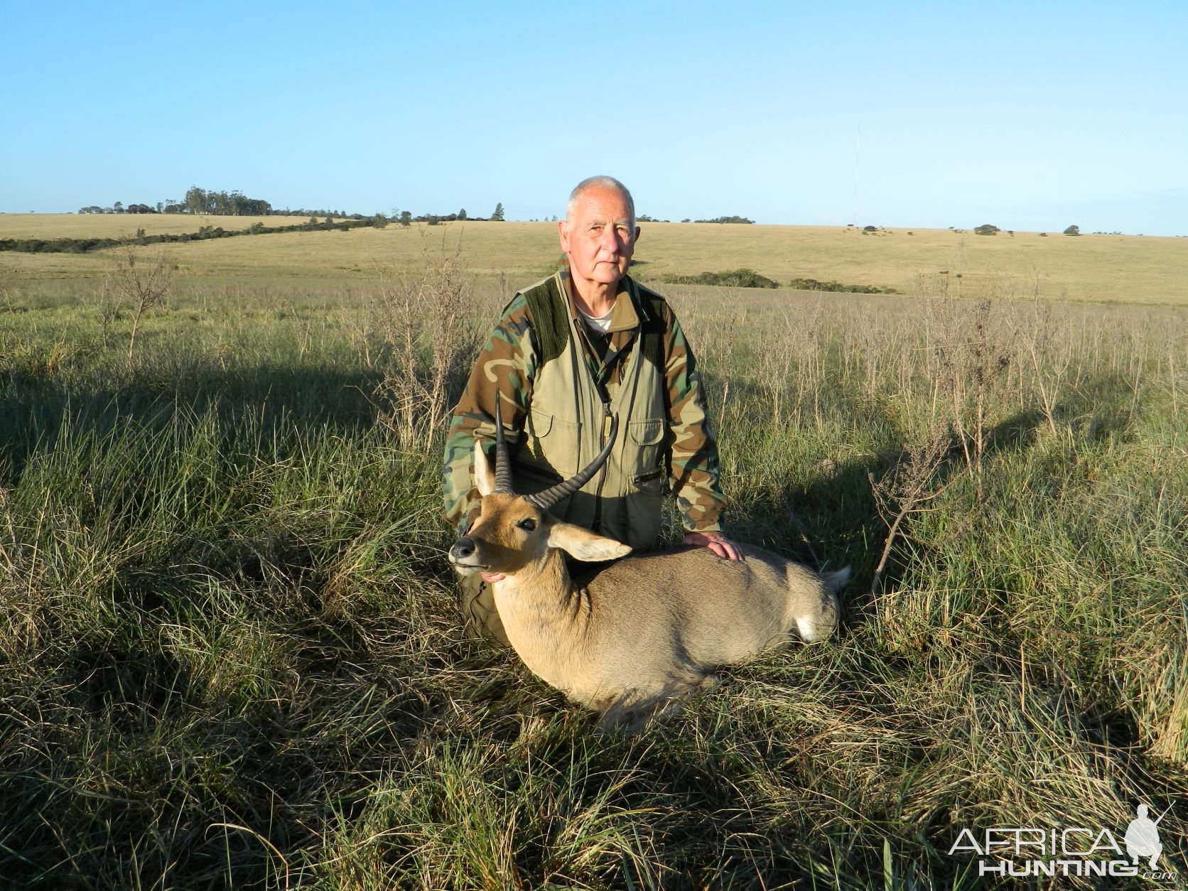 Common Reedbuck His Territory