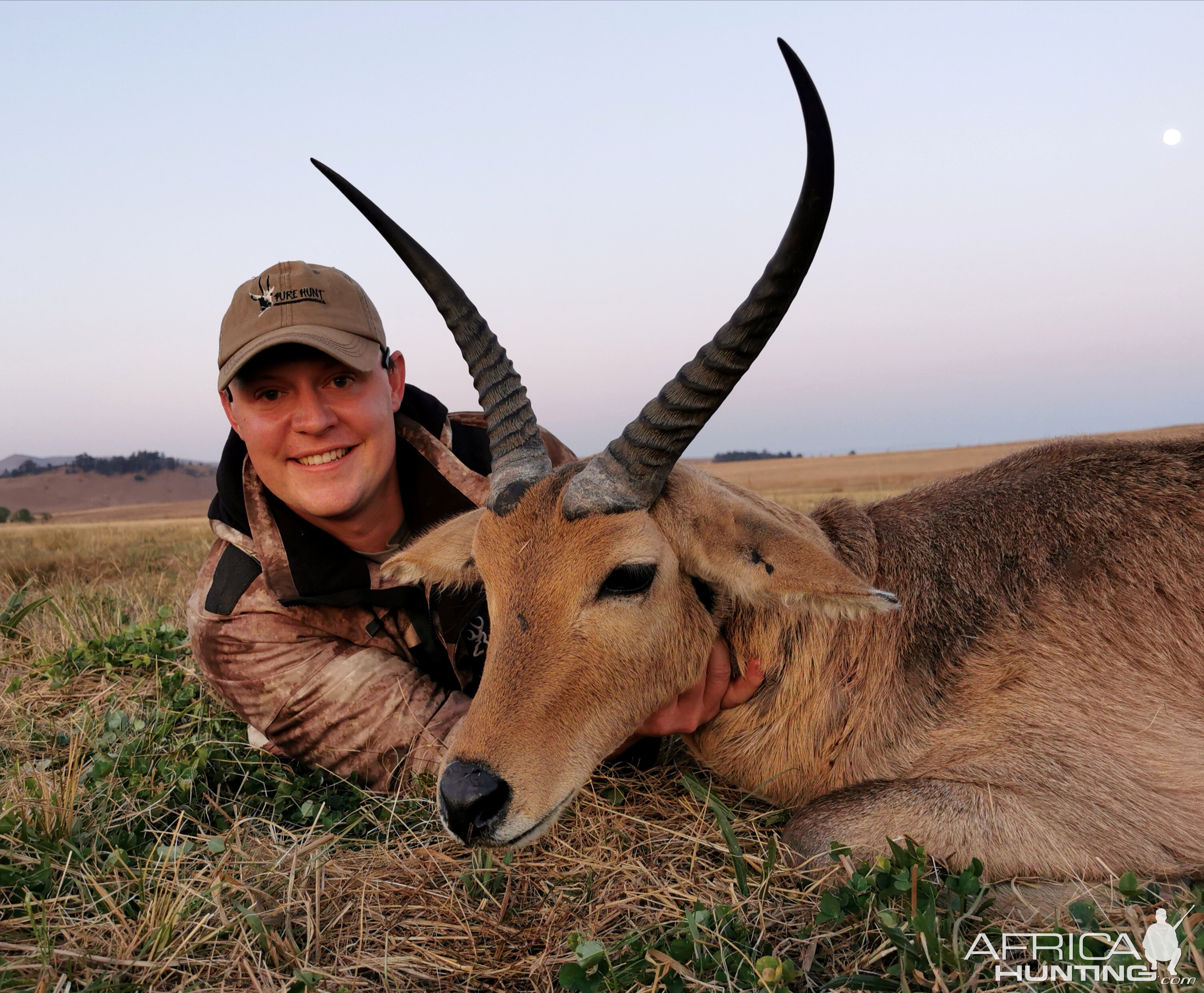 Common Reedbuck Hunt South Africa