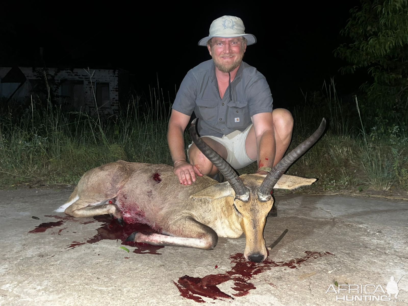 Common Reedbuck Hunt South Africa