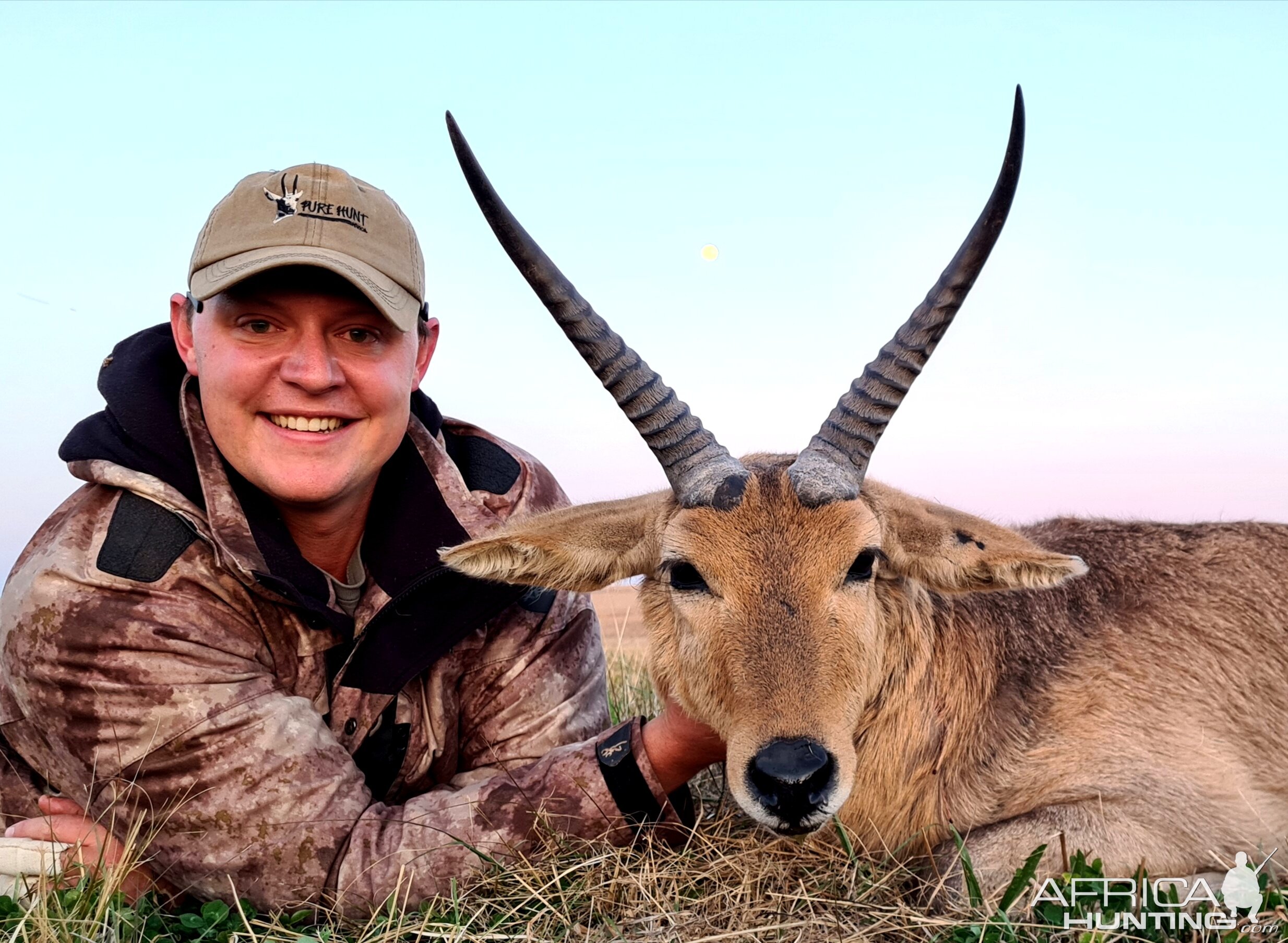 Common Reedbuck Hunting South Africa