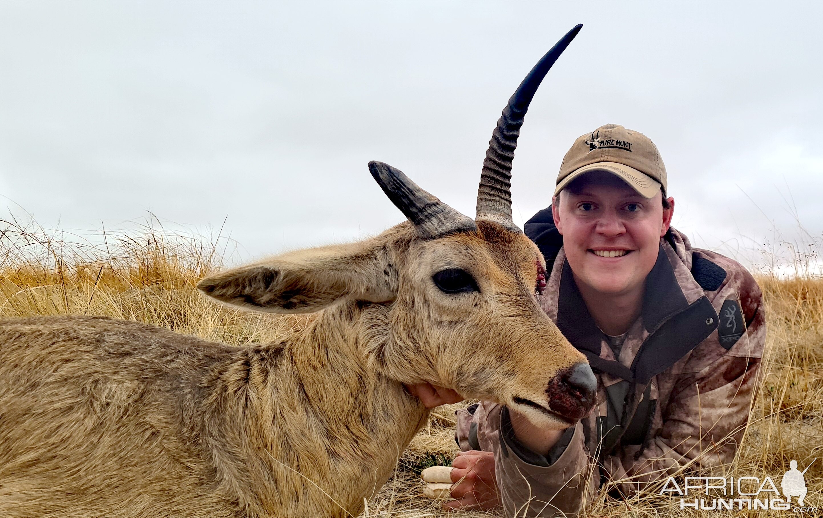 Common Reedbuck Hunting South Africa