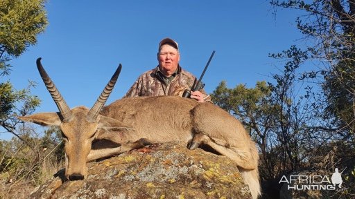 Common Reedbuck Hunting South Africa