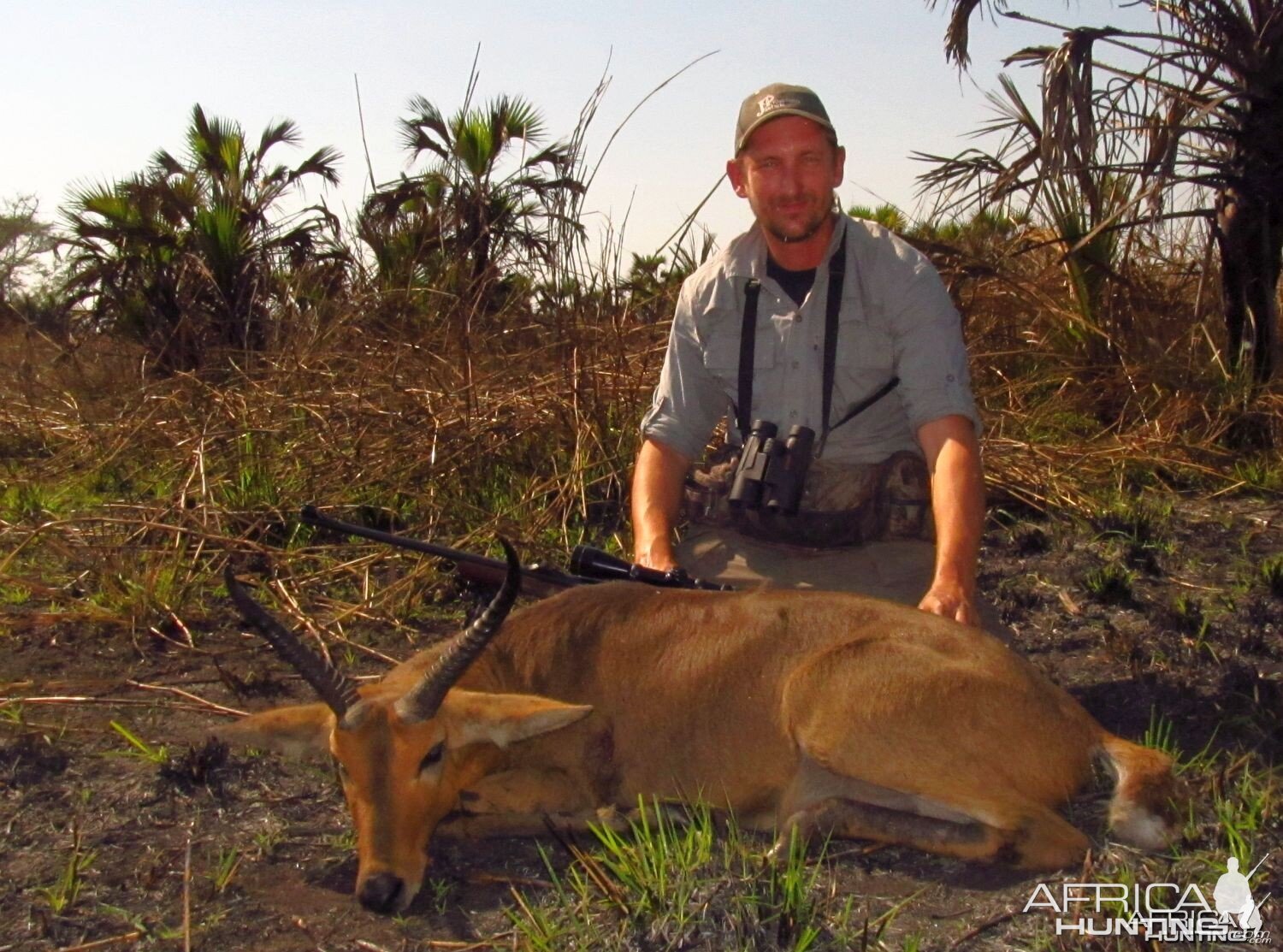 Common Reedbuck - Mozambique