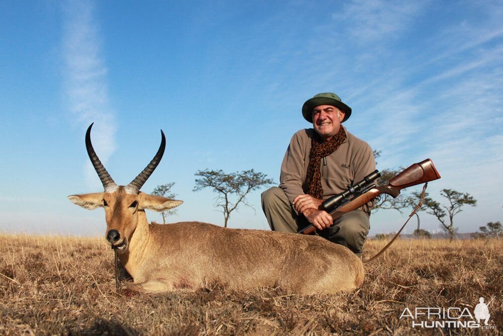 Common Reedbuck South Africa Hunt