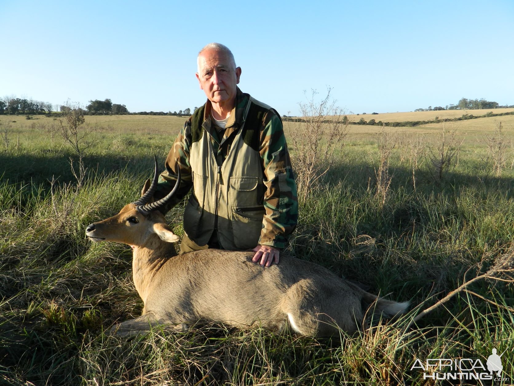 Common Reedbuck South Africa