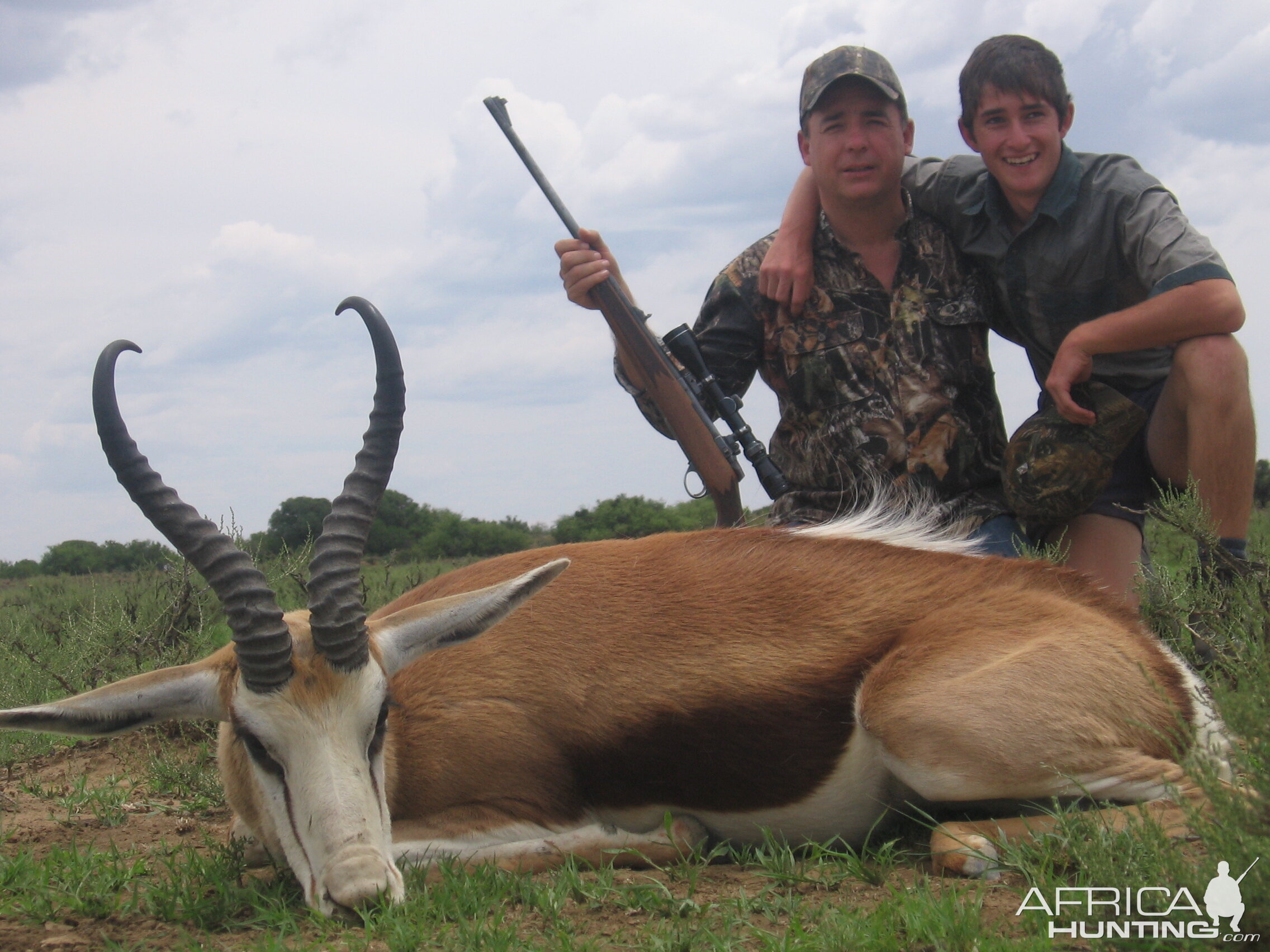 Common Springbok