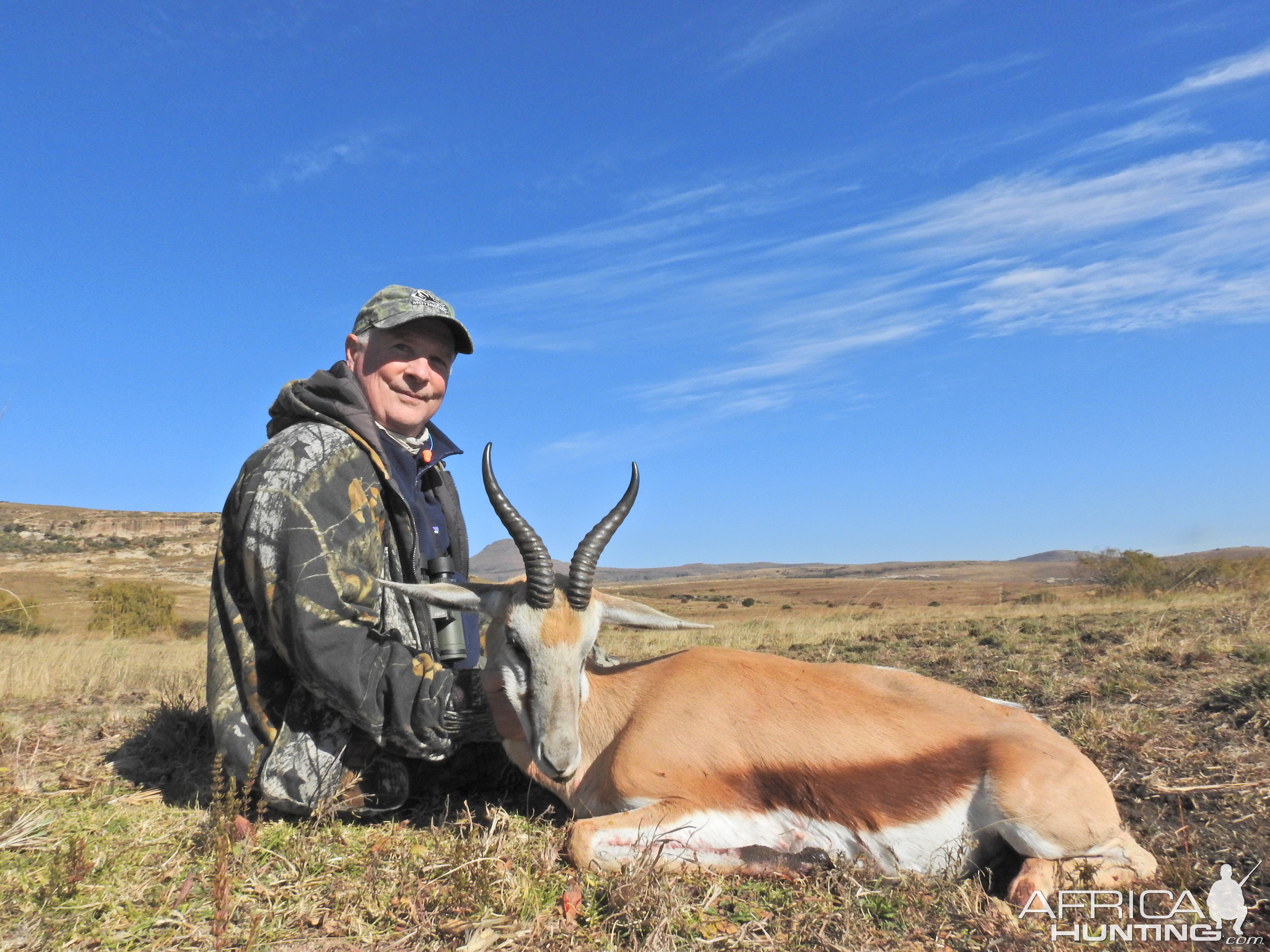 Common Springbuck