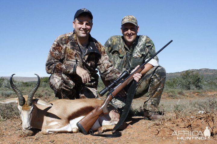 Common Springbuck