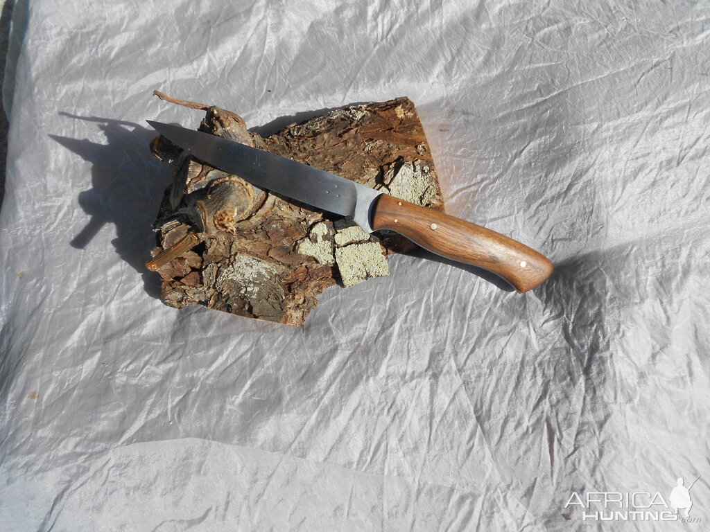 Companion Knife in Walnut