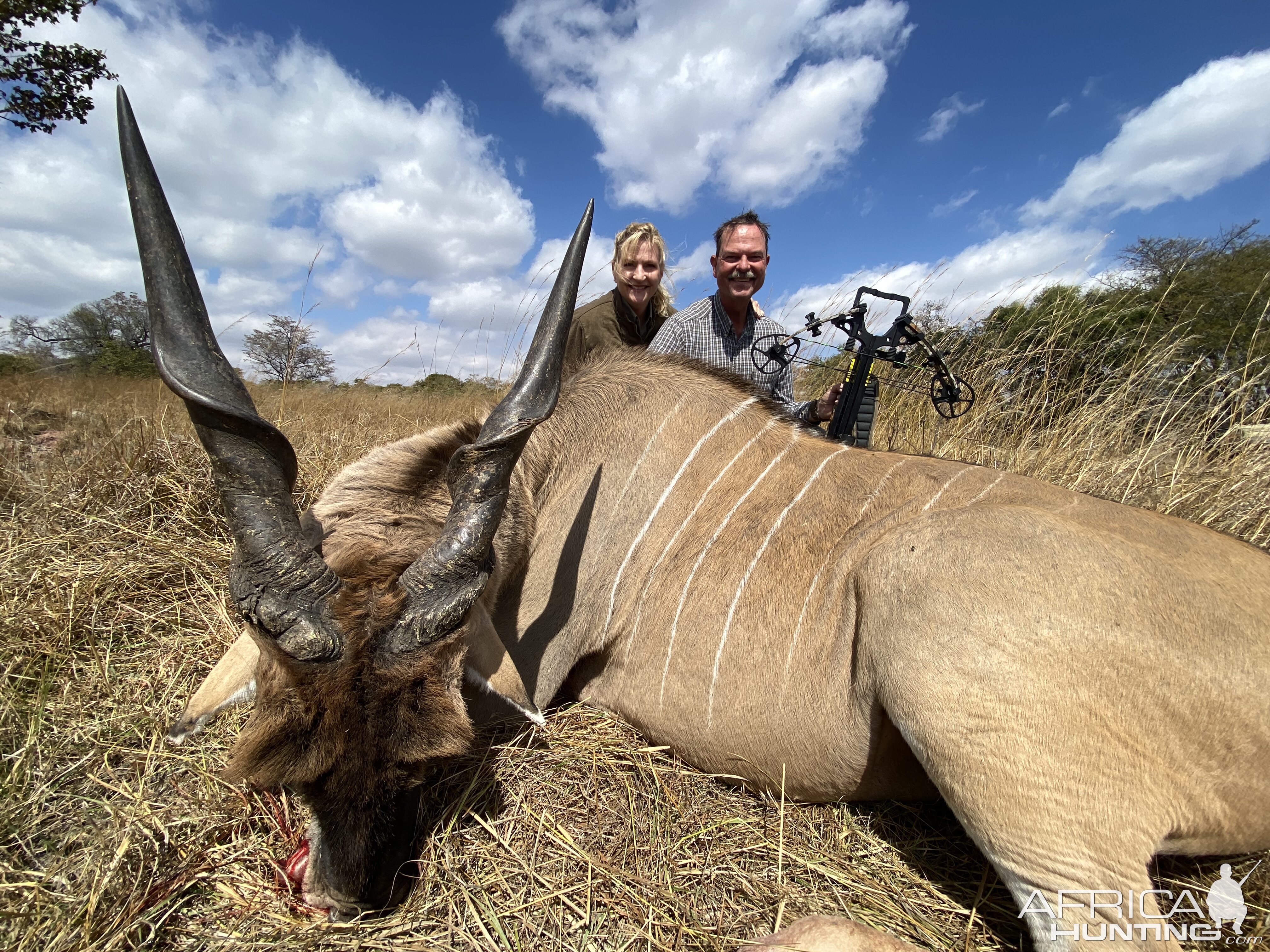 Compound Bow Hunting Eland Zambia