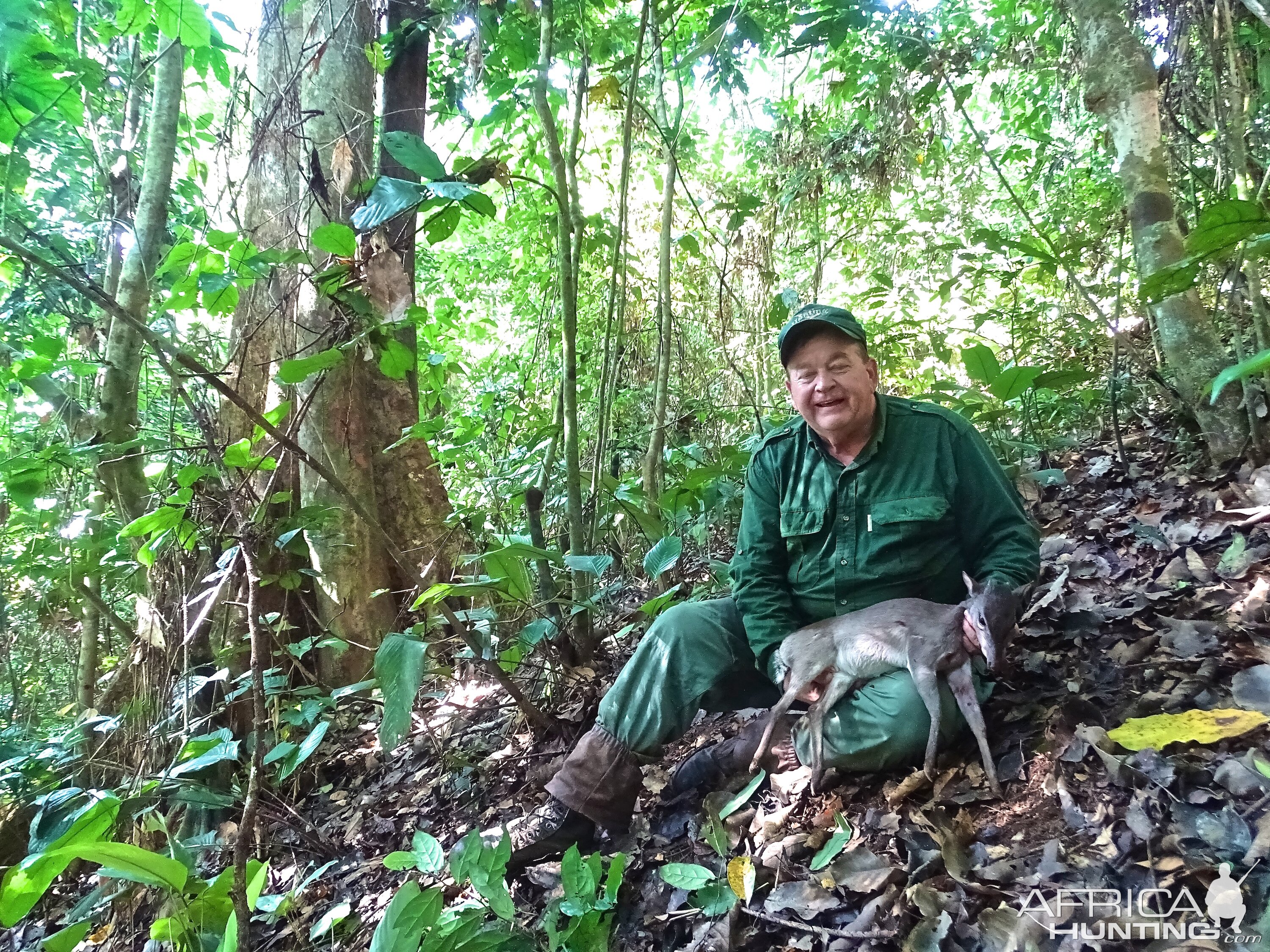 Congo Blue Duiker Hunt