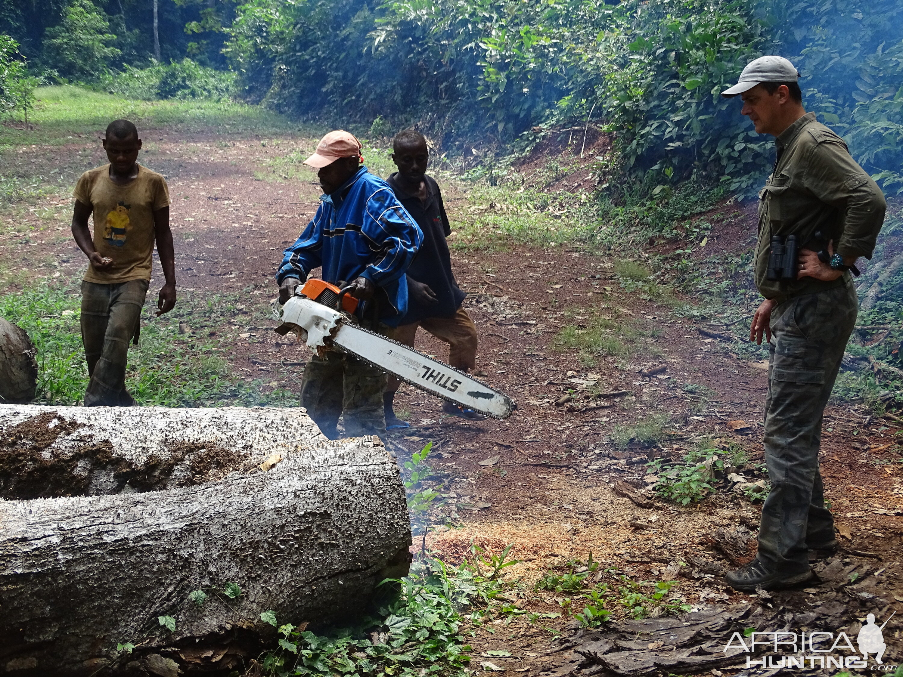 Congo Clearing Trees & Bushes