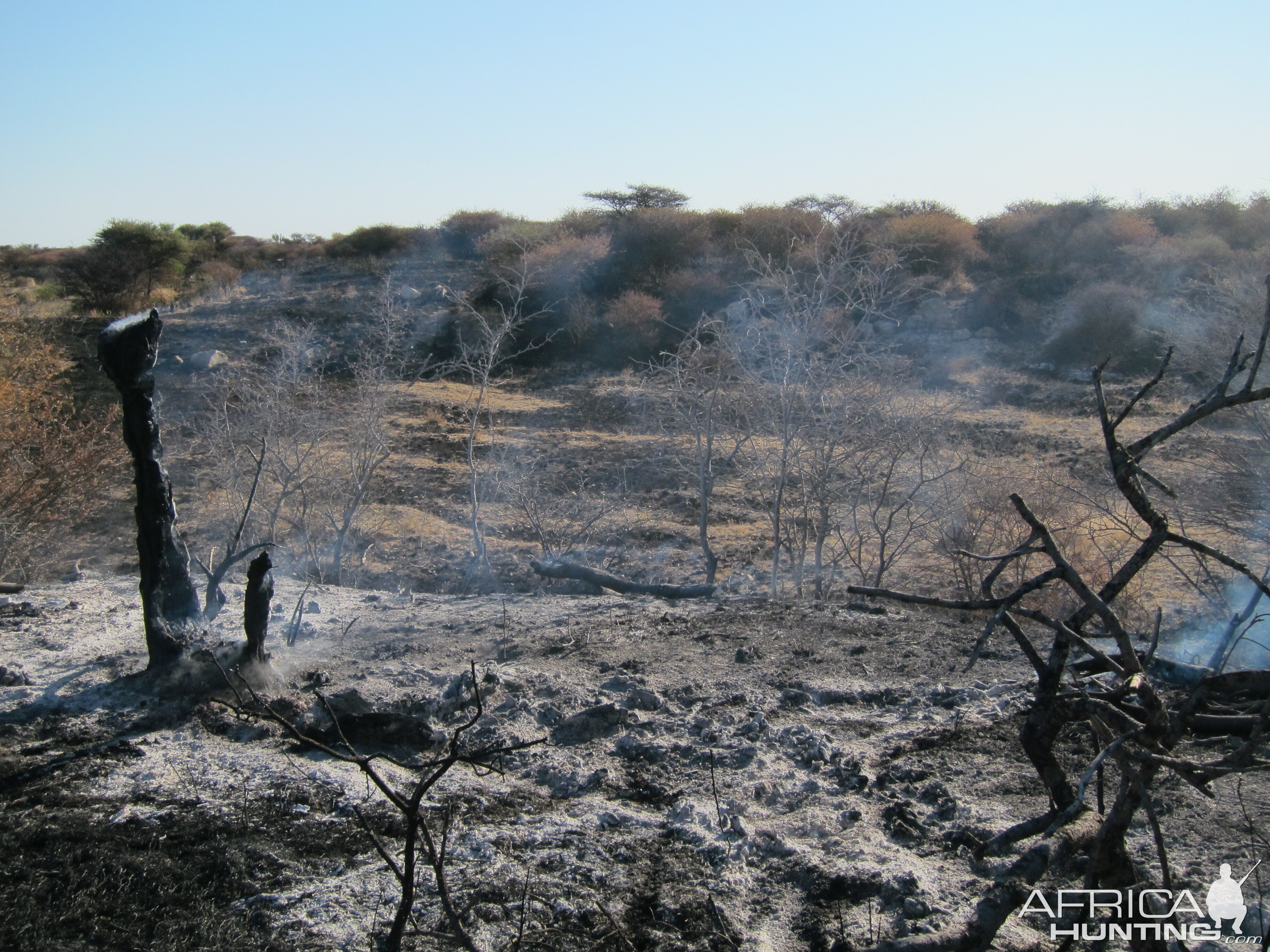 Controlled Bush Fire Namibia