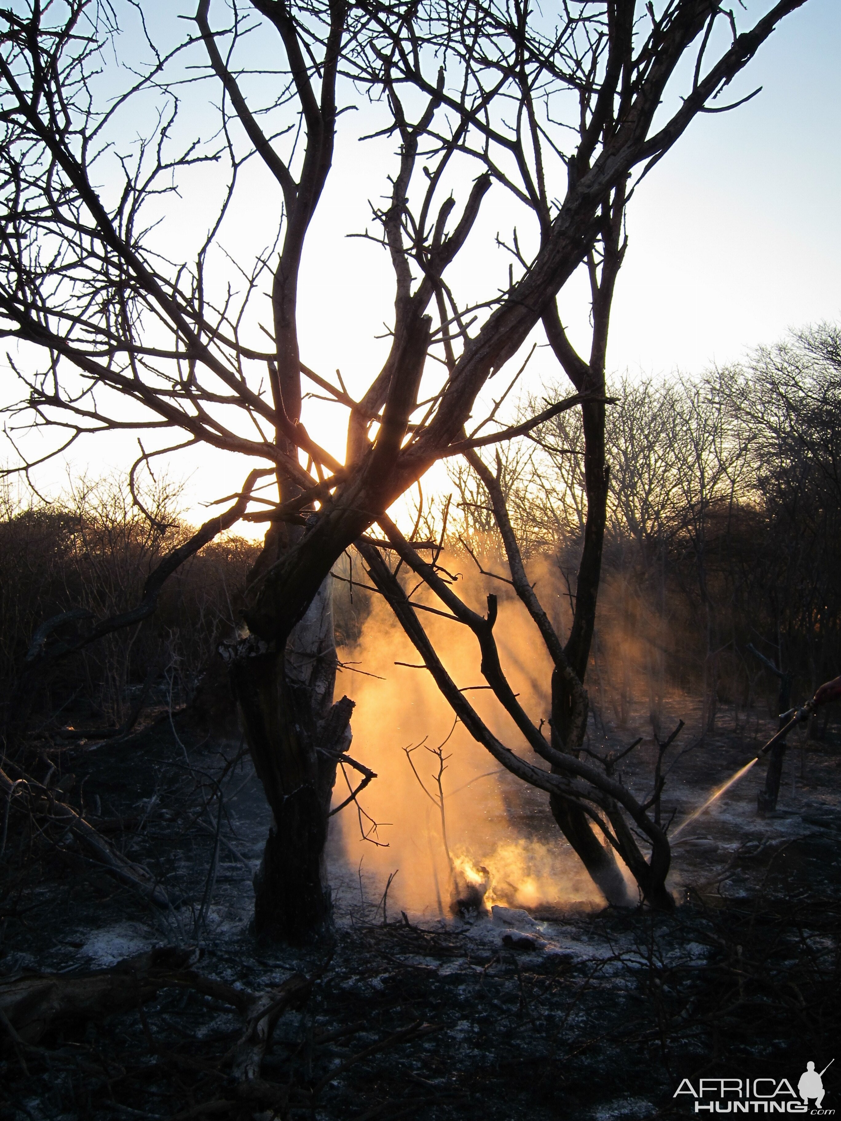 Controlled Bush Fire Namibia