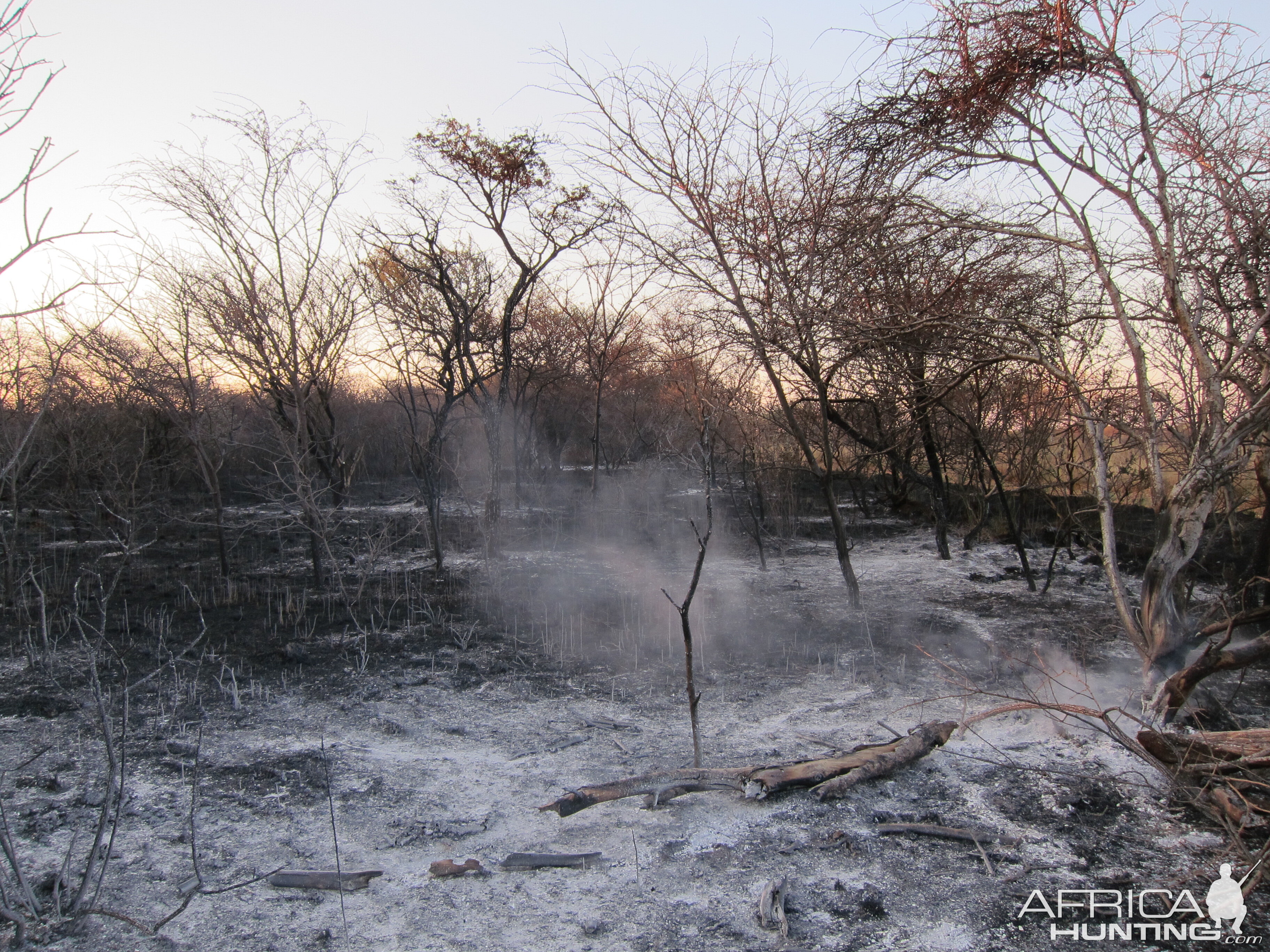 Controlled Bush Fire Namibia