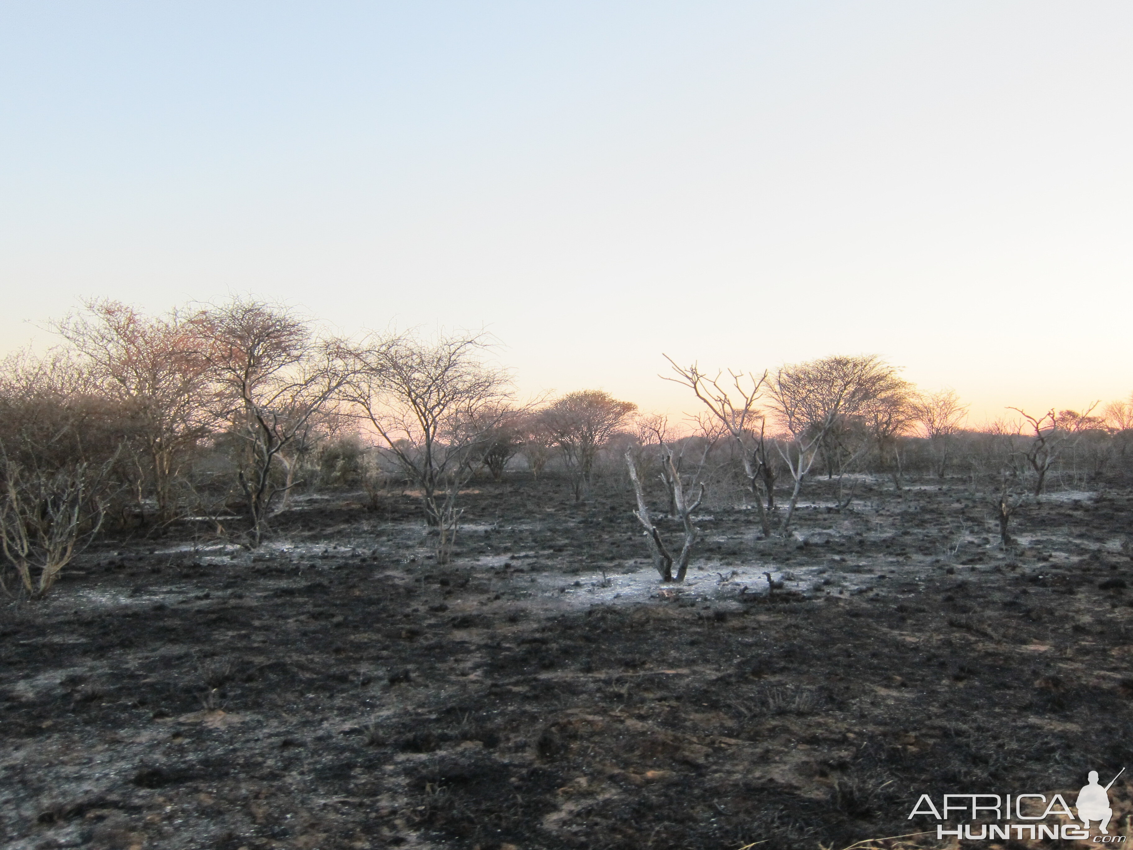 Controlled Bush Fire Namibia