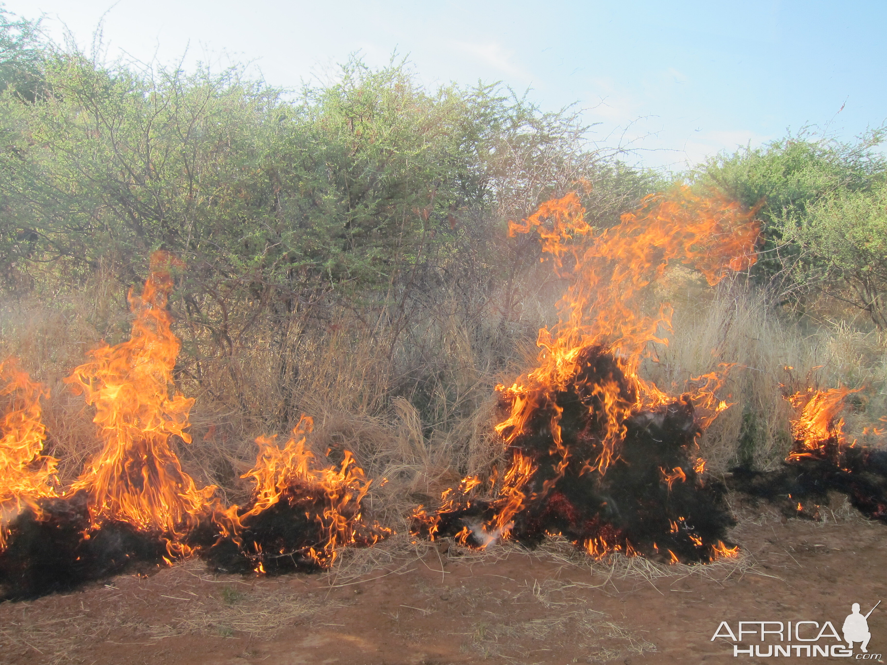 Controlled Bush Fire Namibia