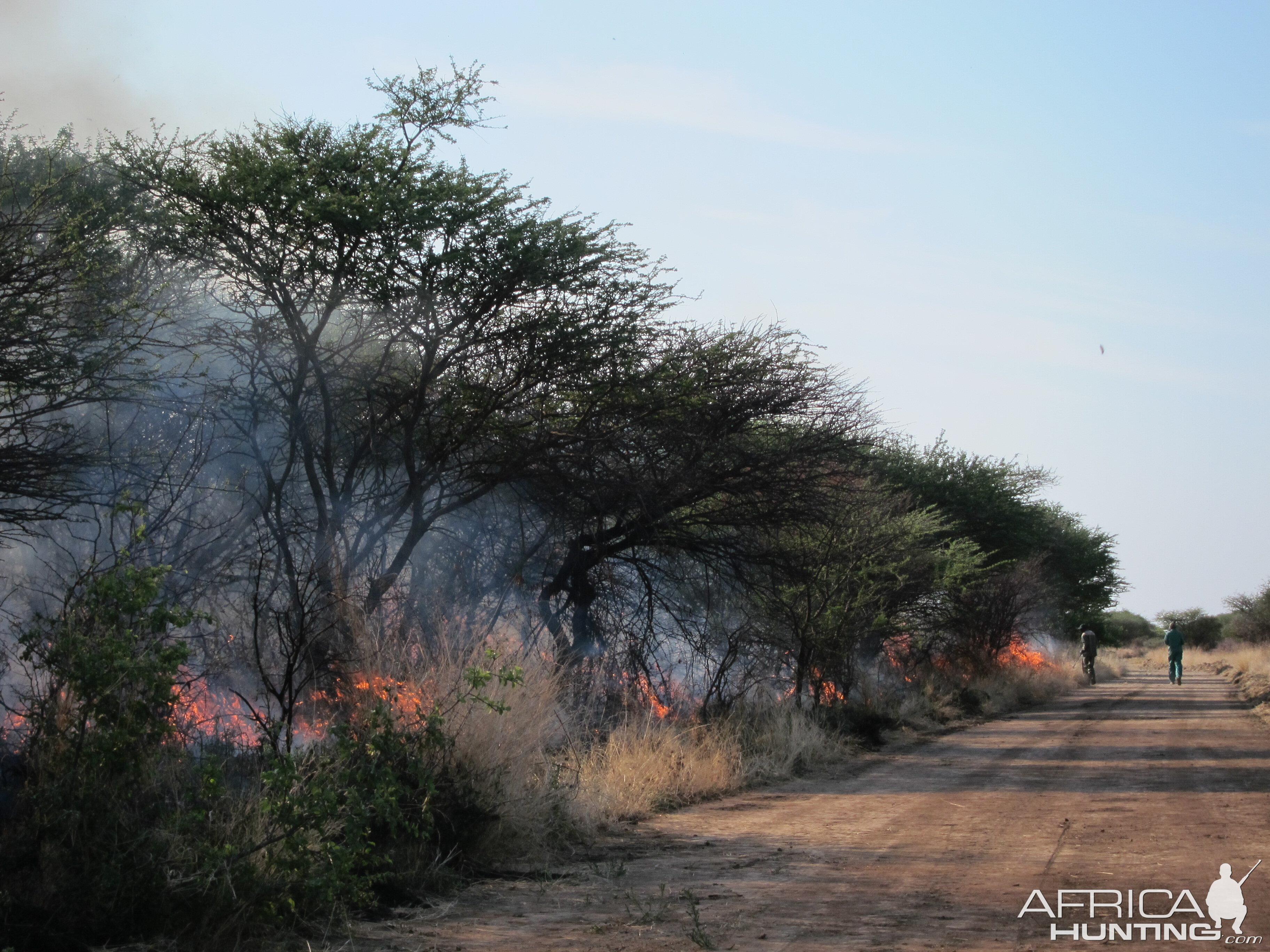 Controlled Bush Fire Namibia