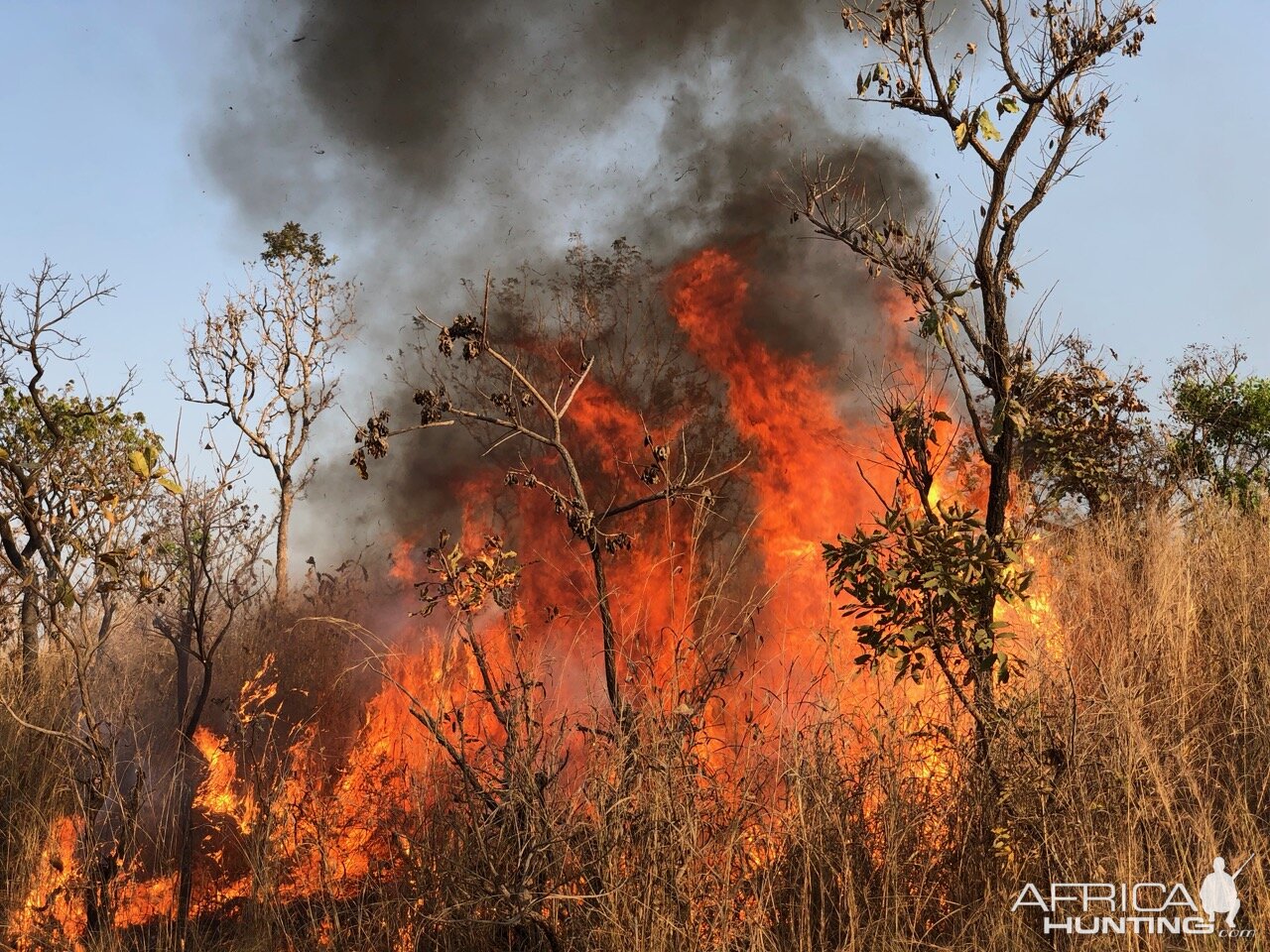 Controlled Fires Cameroon