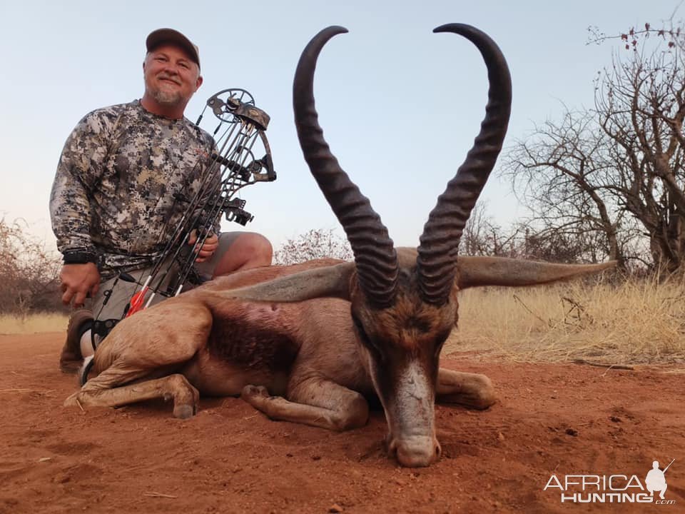 Copper Springbok Bow Hunt Limpopo South Africa