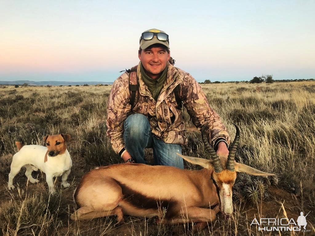 Copper Springbok Hunt South Africa