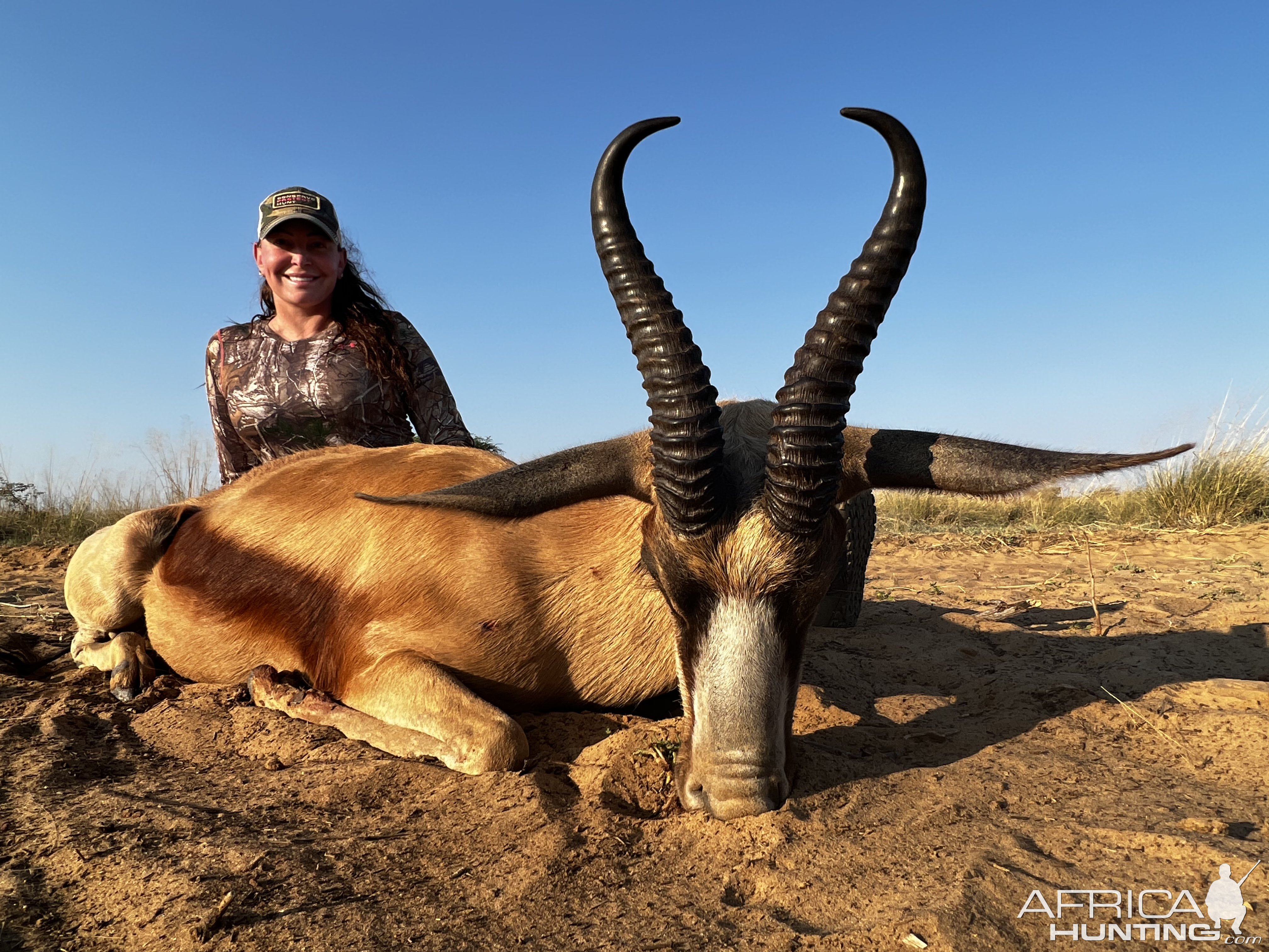 Copper Springbok Hunt South Africa